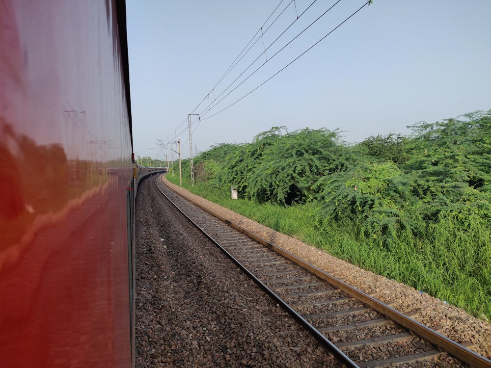 a train traveling down train tracks next to a lush green field