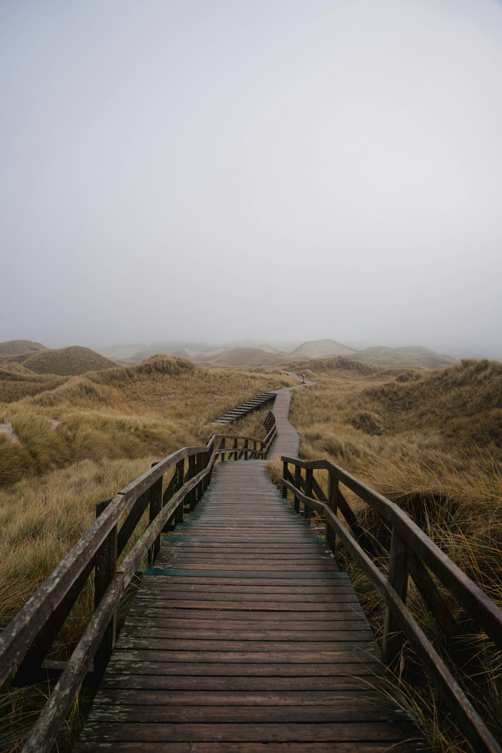 a wooden walkway leading to a grassy field