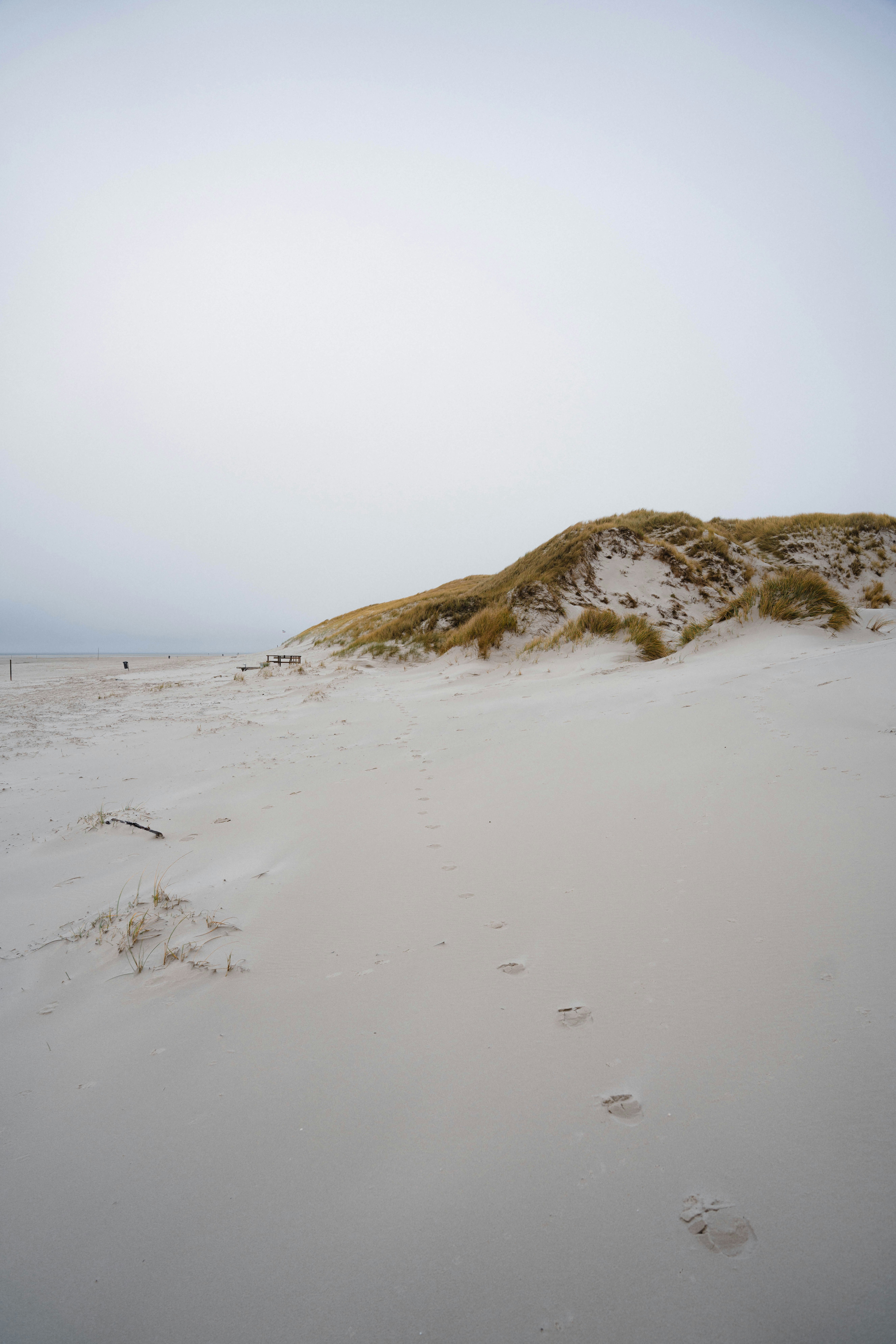 a sandy beach with footprints in the sand