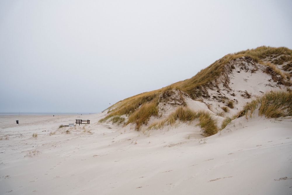 a group of people walking on top of a sandy beach