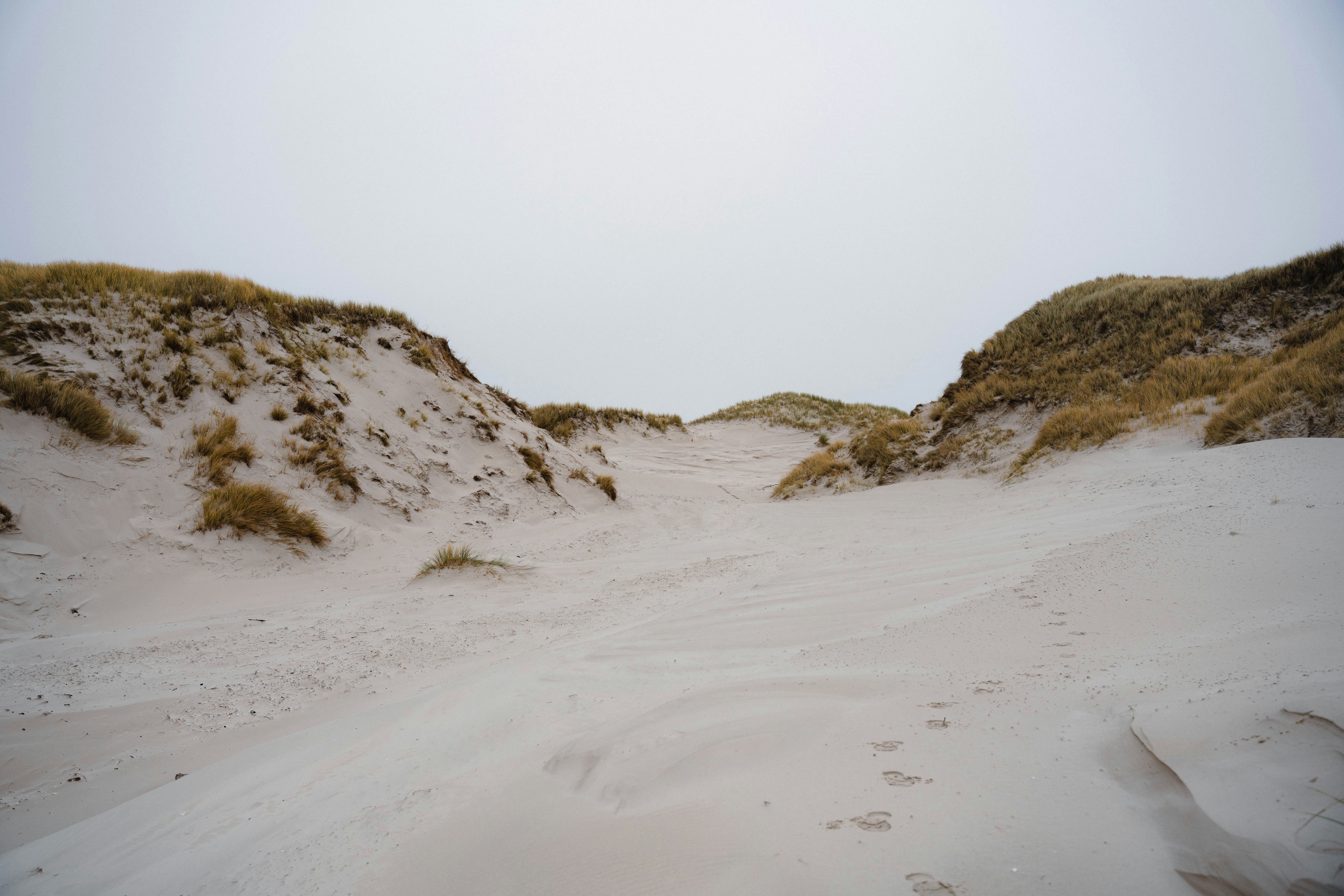 Photo by davidemrich