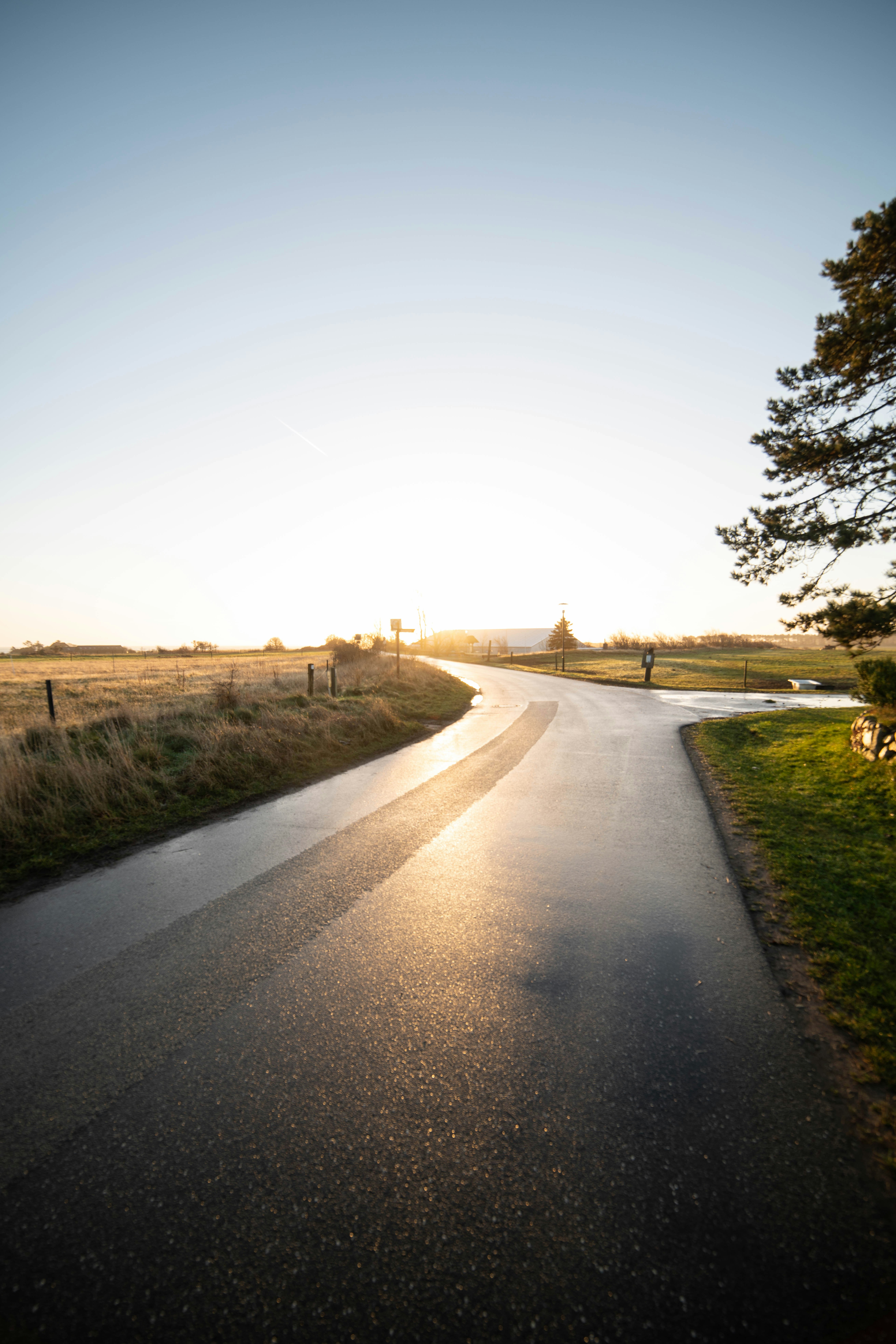 Photo by davidemrich