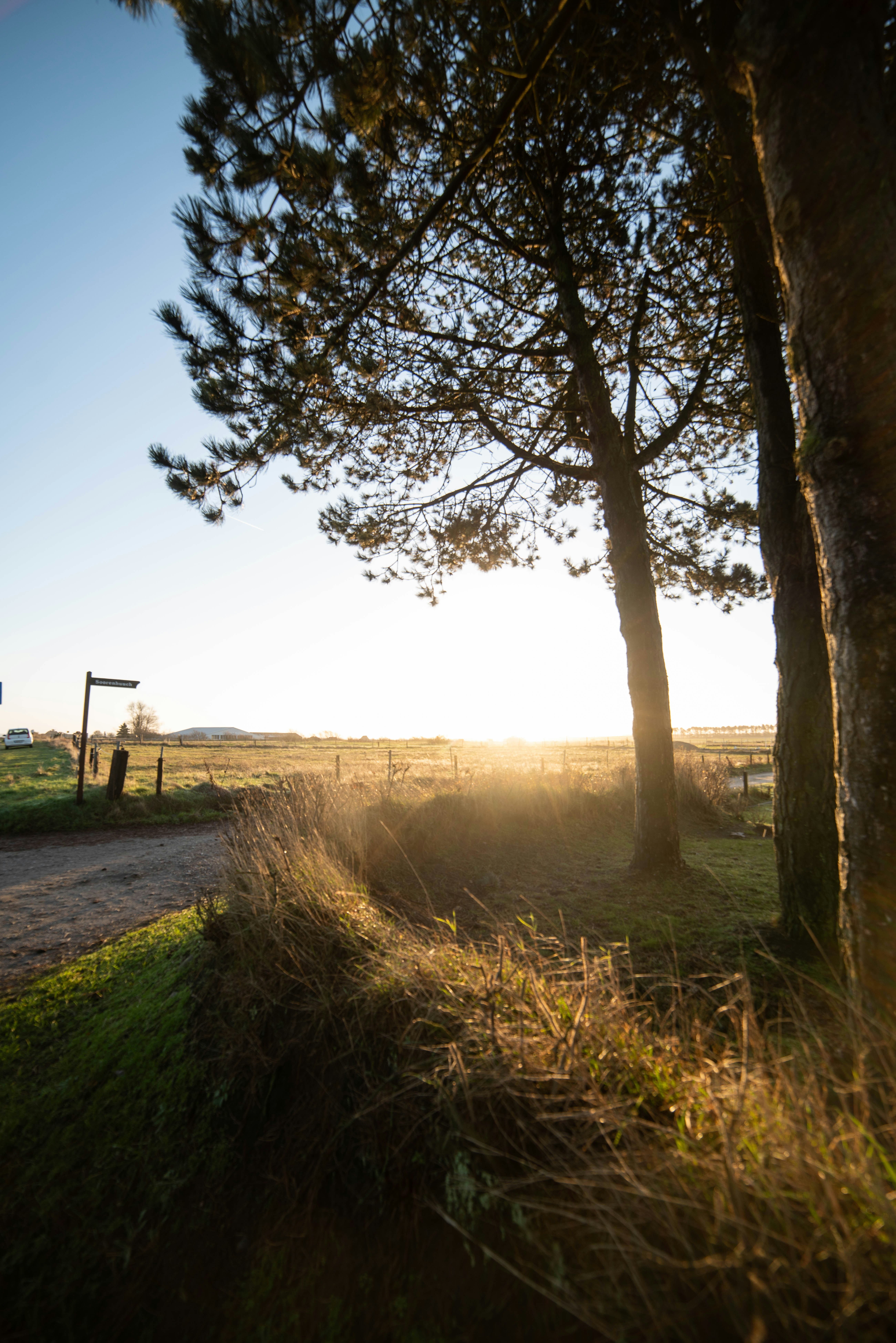 Photo by davidemrich