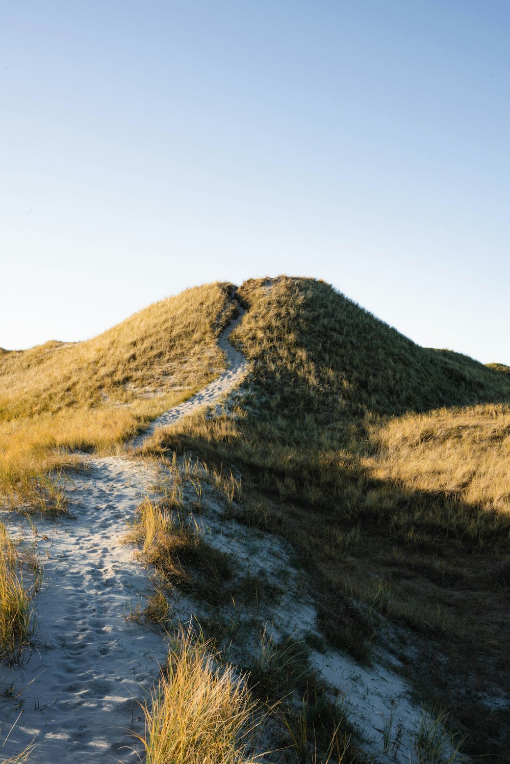 a grassy hill with a path going up it