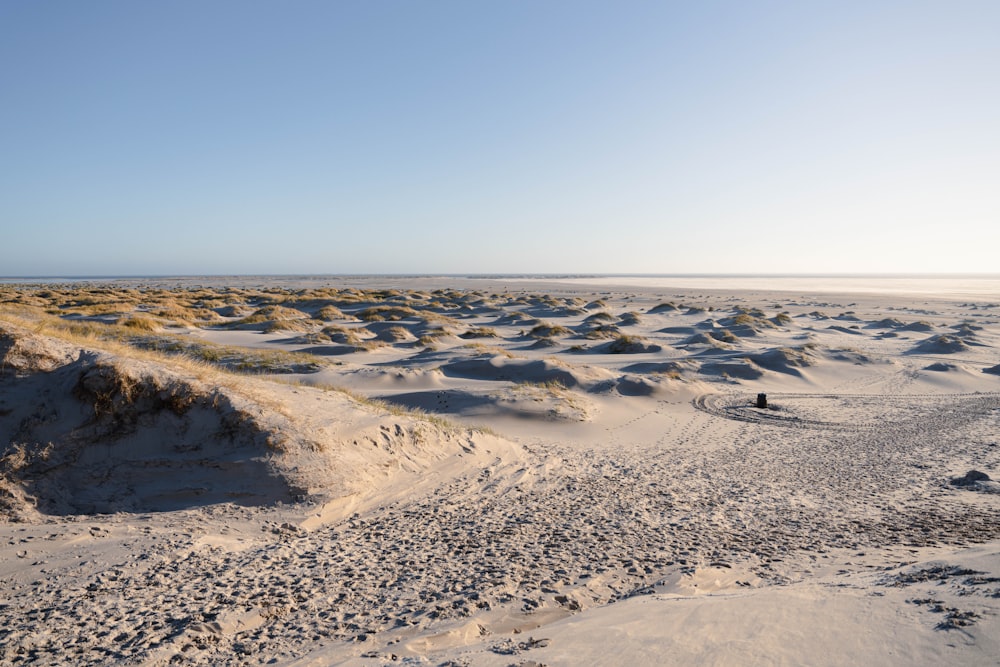 a sandy beach covered in lots of sand