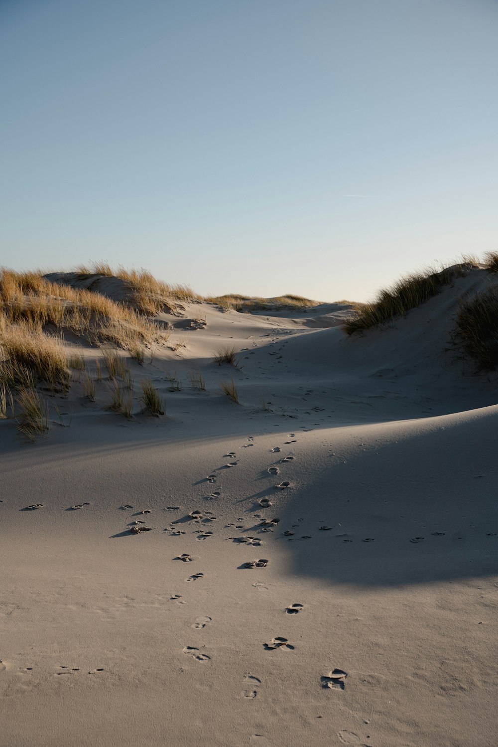 a trail of footprints in the sand of a beach