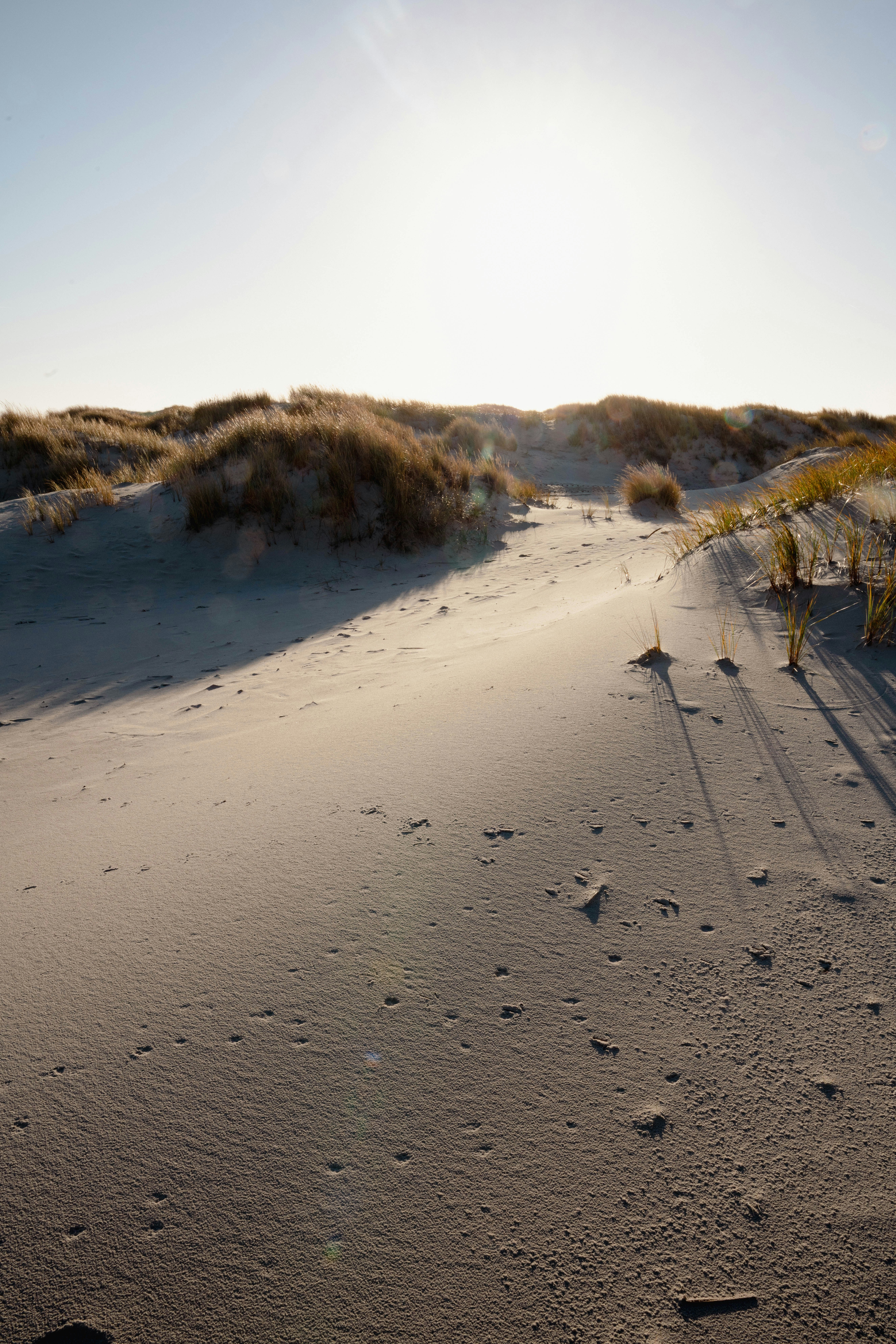 Photo by davidemrich