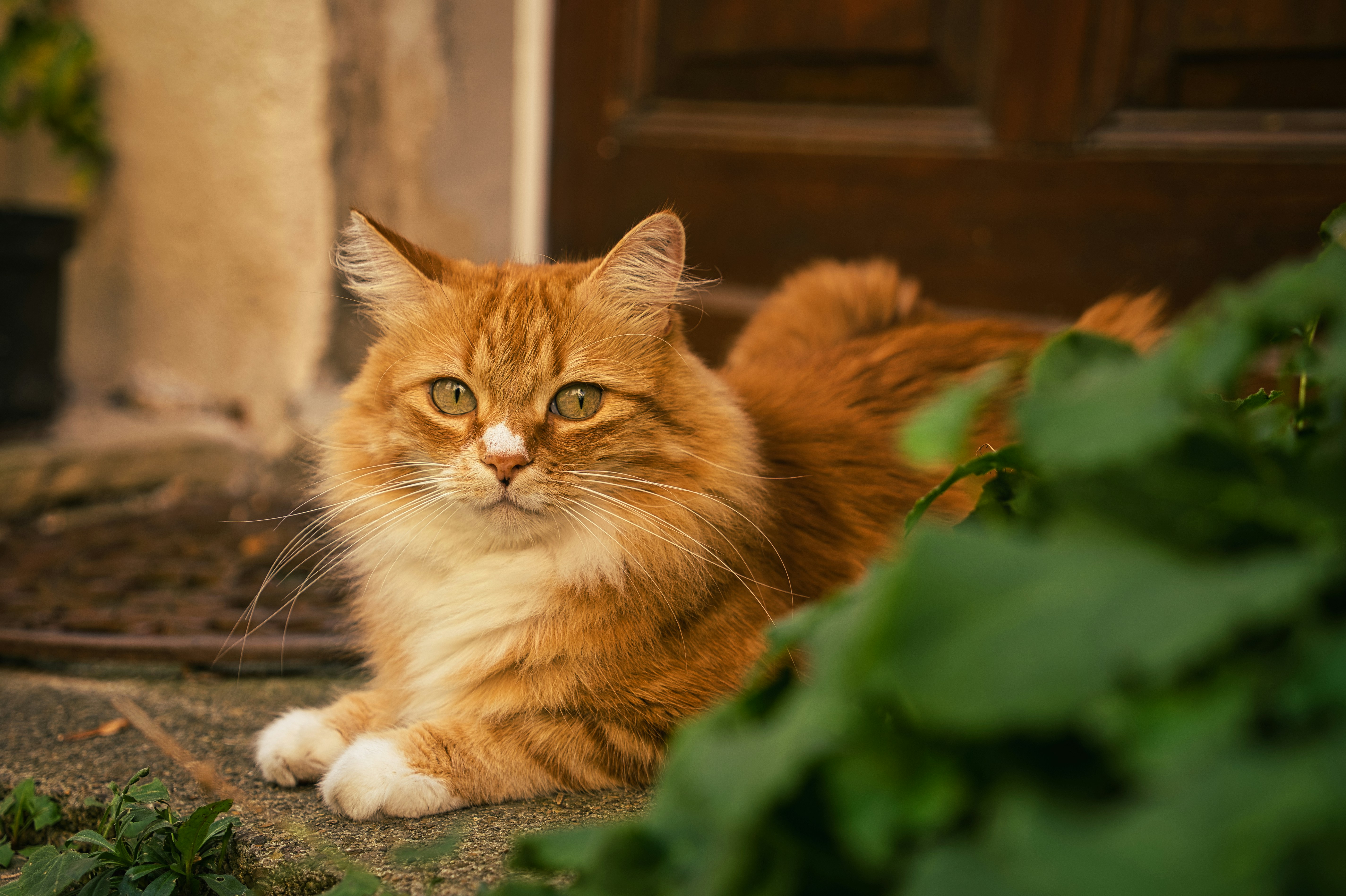 Photo by usa_reiseblogger_de