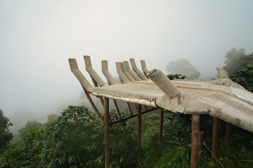 A woven bamboo or thatched structure extends over the edge of a lush, green forest. Mist envelops the background, creating a mysterious and serene atmosphere. The structure is elevated on wooden poles and appears to blend with the natural environment.