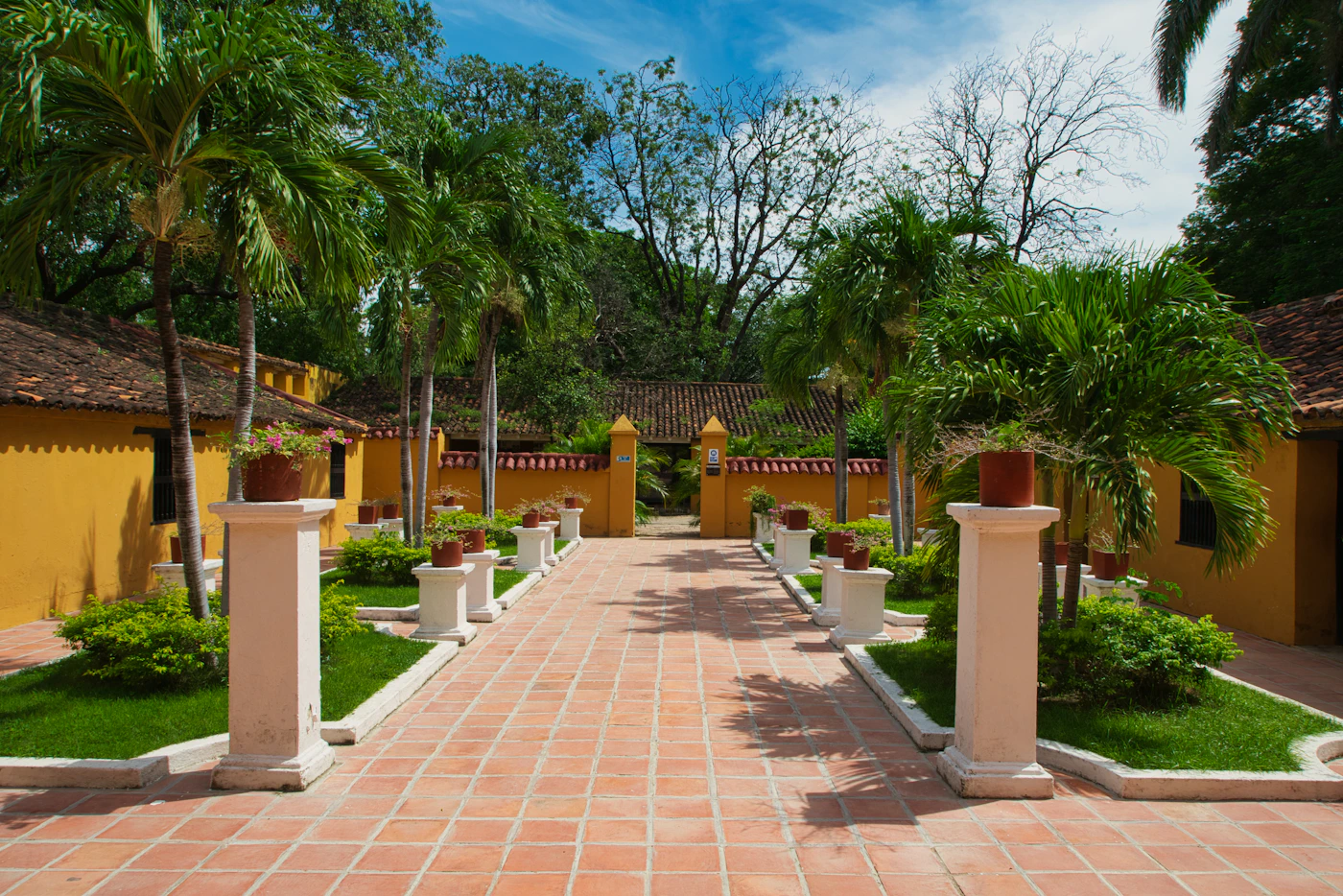 A yellow colonial hacienda driveway with white columns and tropical palm trees lining a red-tile paved walkway leading to a gate with blue sky above