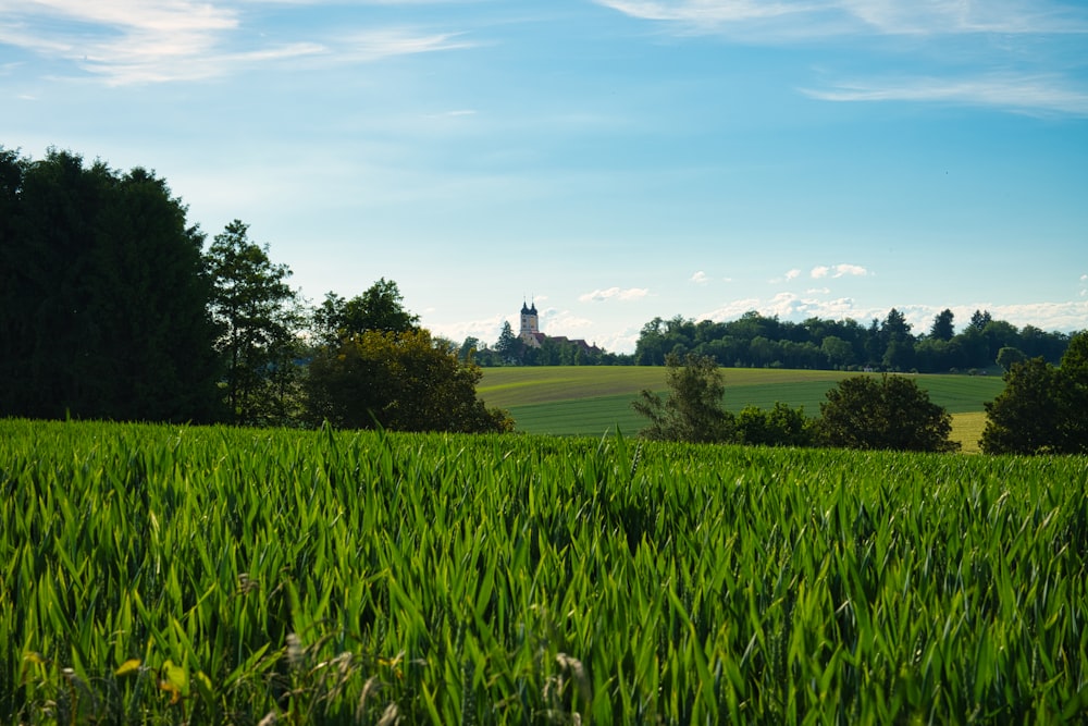a field of green grass with a church in the background