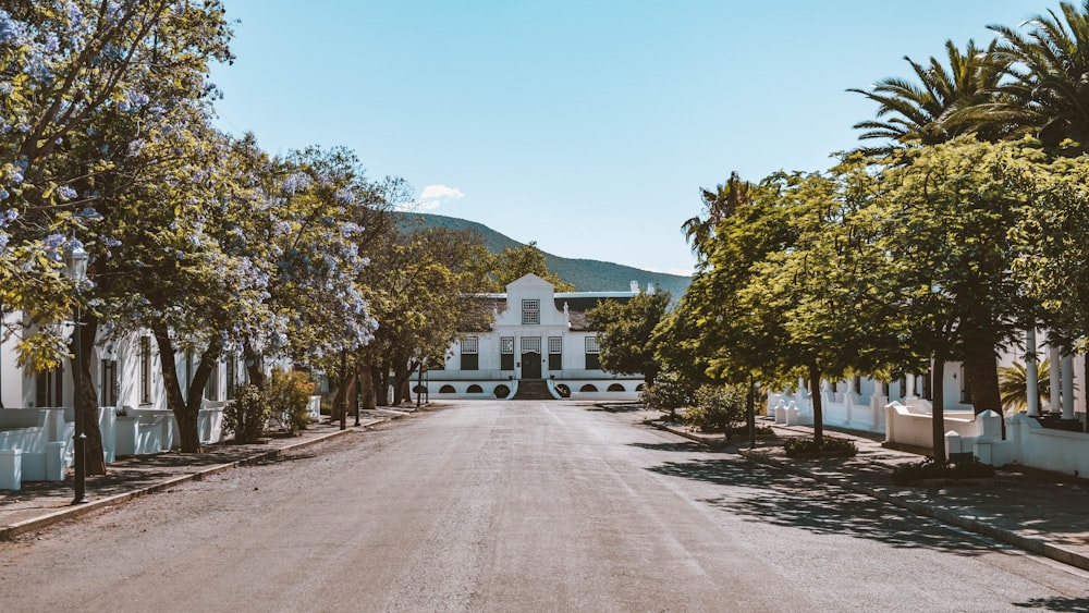 a street lined with trees and a white house