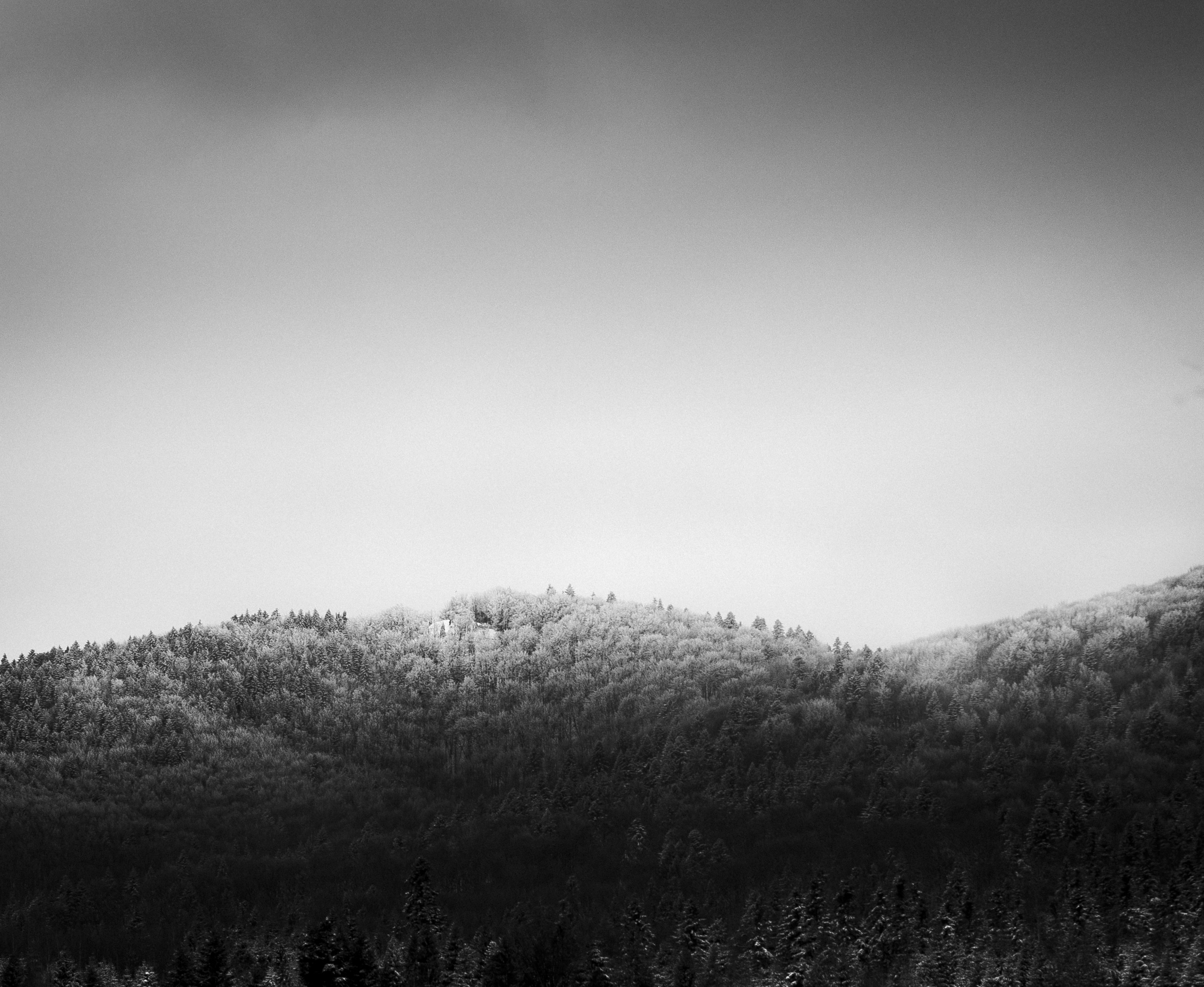 Photo by maksym_tymchyk