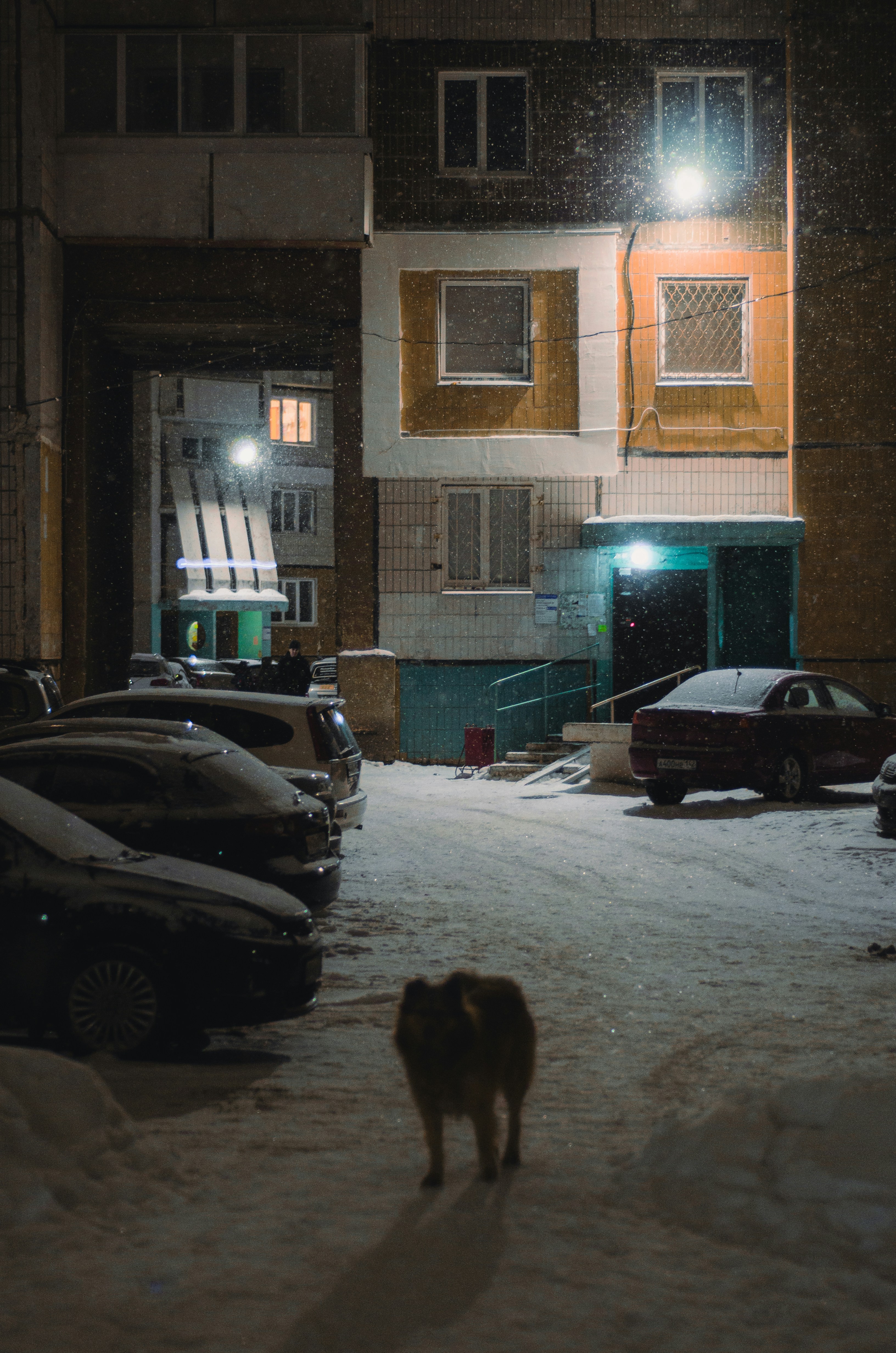 energy efficiency you can do to save energy