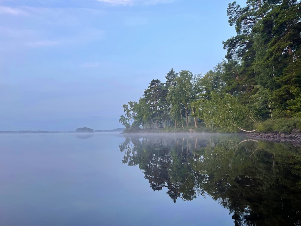 a body of water surrounded by trees and fog