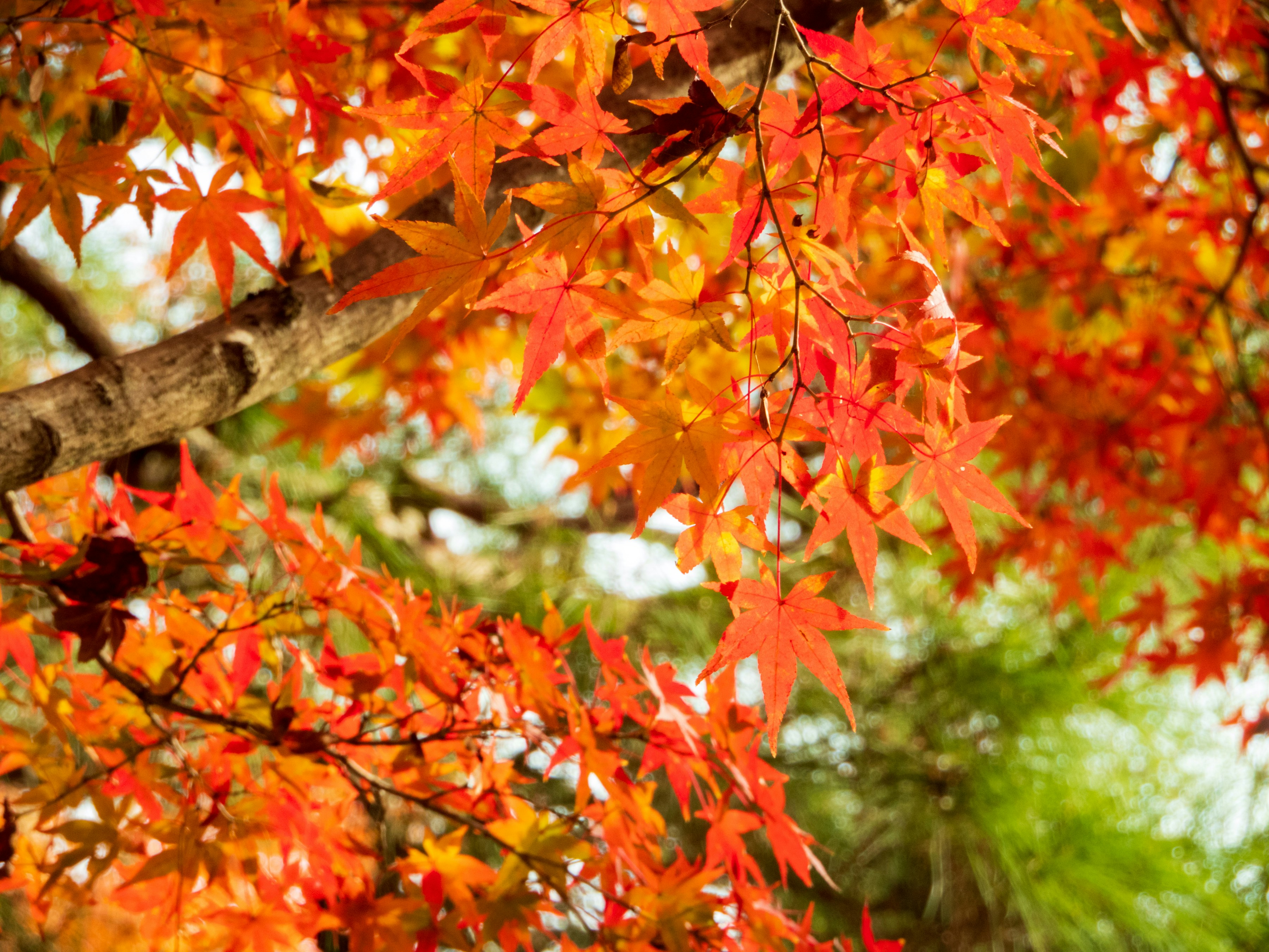 Photo by heppoko_yama