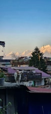 A friendly roofing bulldog mascot standing proudly on a rooftop at sunset.
