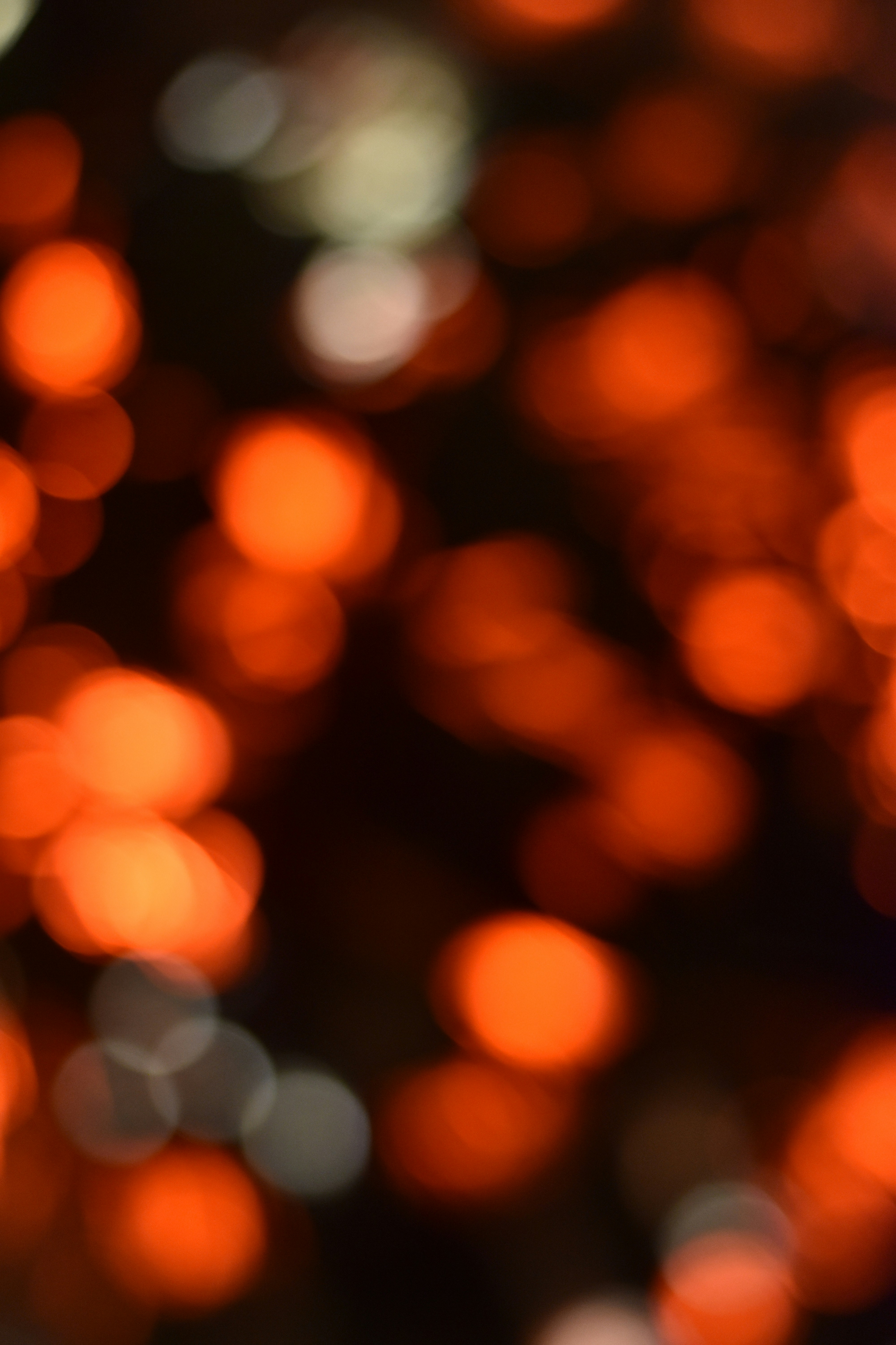 Photo by elliottmason