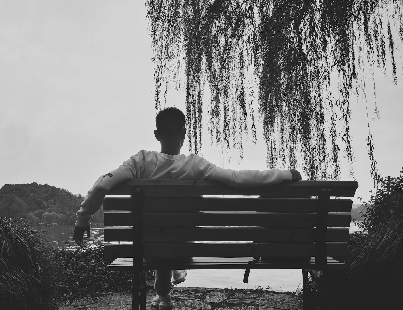 A man sits alone on a bench beneath a tree, surrounded by soft natural light -- a quiet moment of stillness and reflection