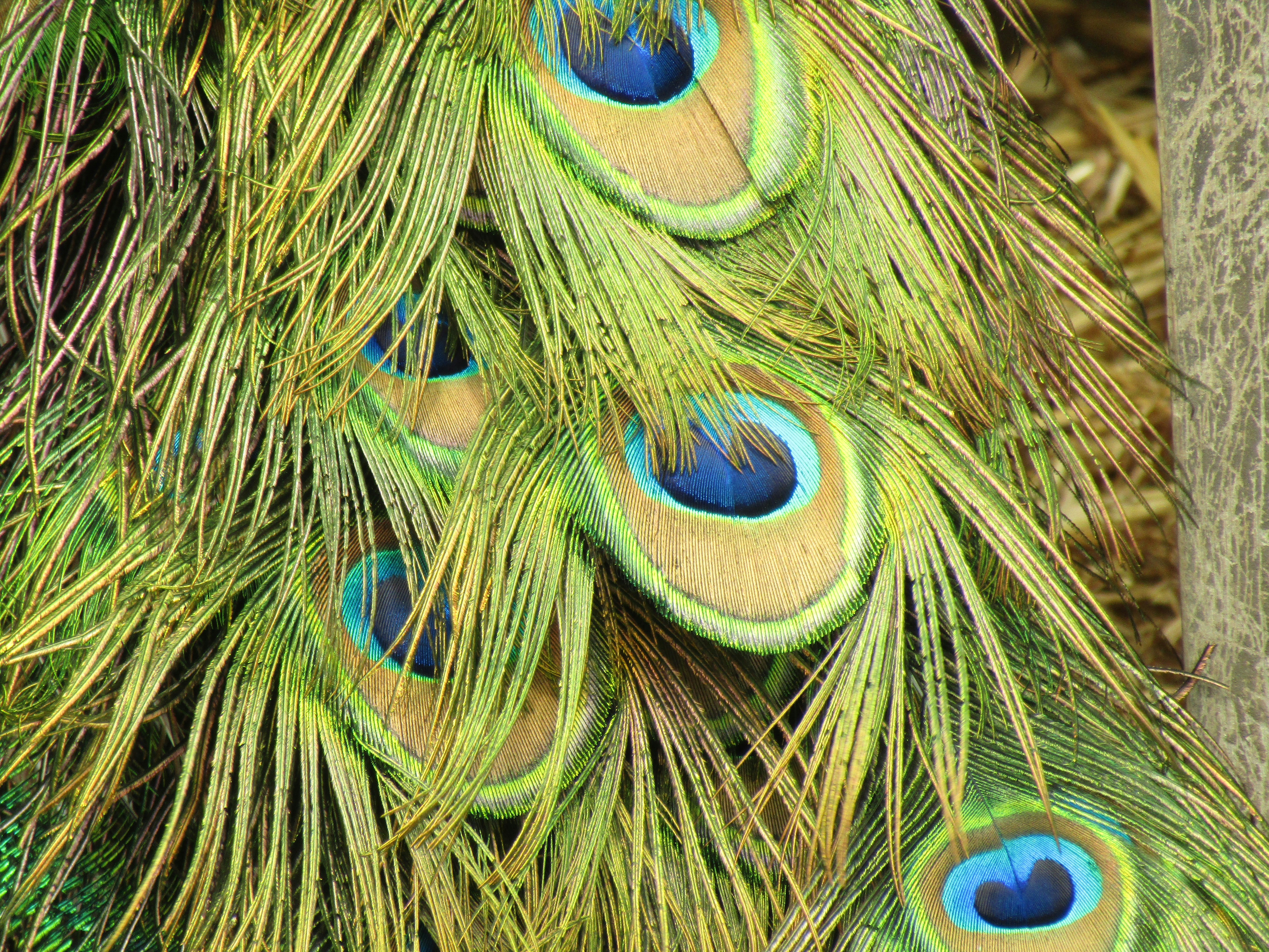 zadanie domowe dzień 1