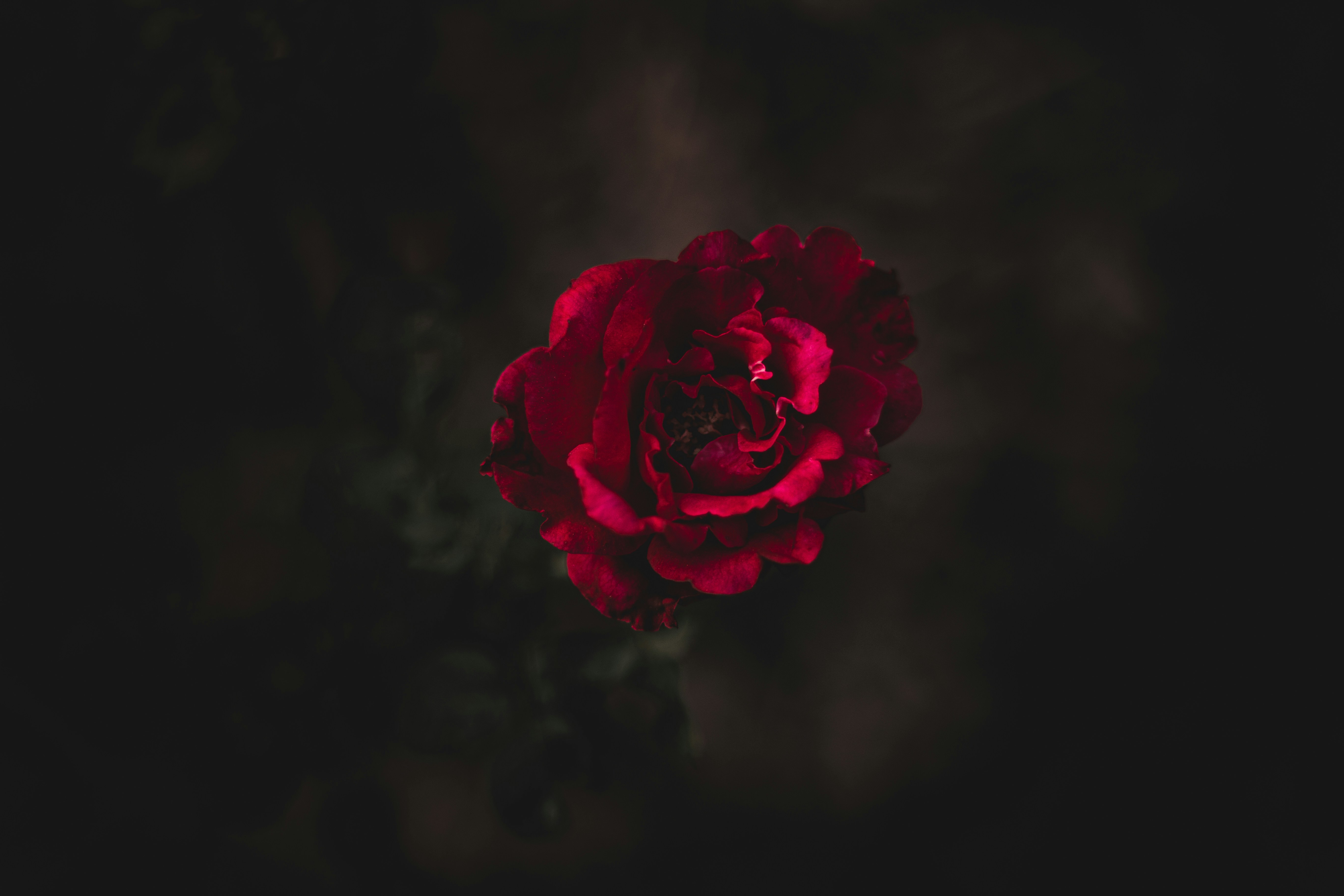 Photo by tscreationz