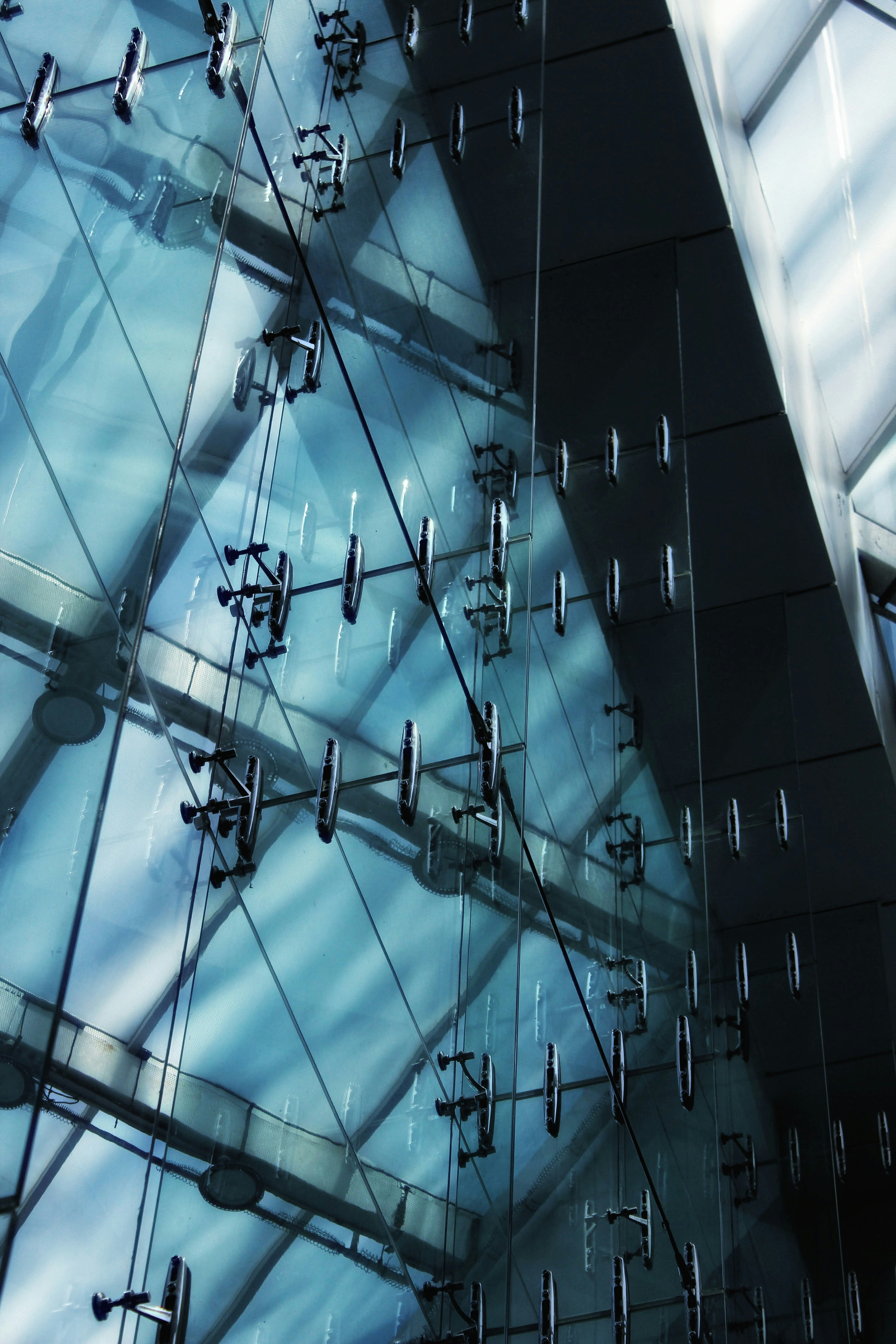 Photo by joylynn_goh