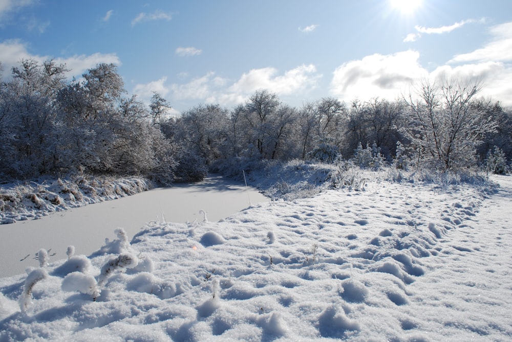 a snow covered field with trees in the background