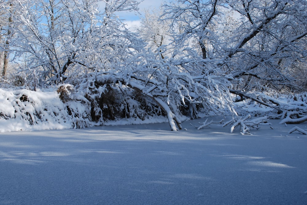 a man riding skis down a snow covered slope