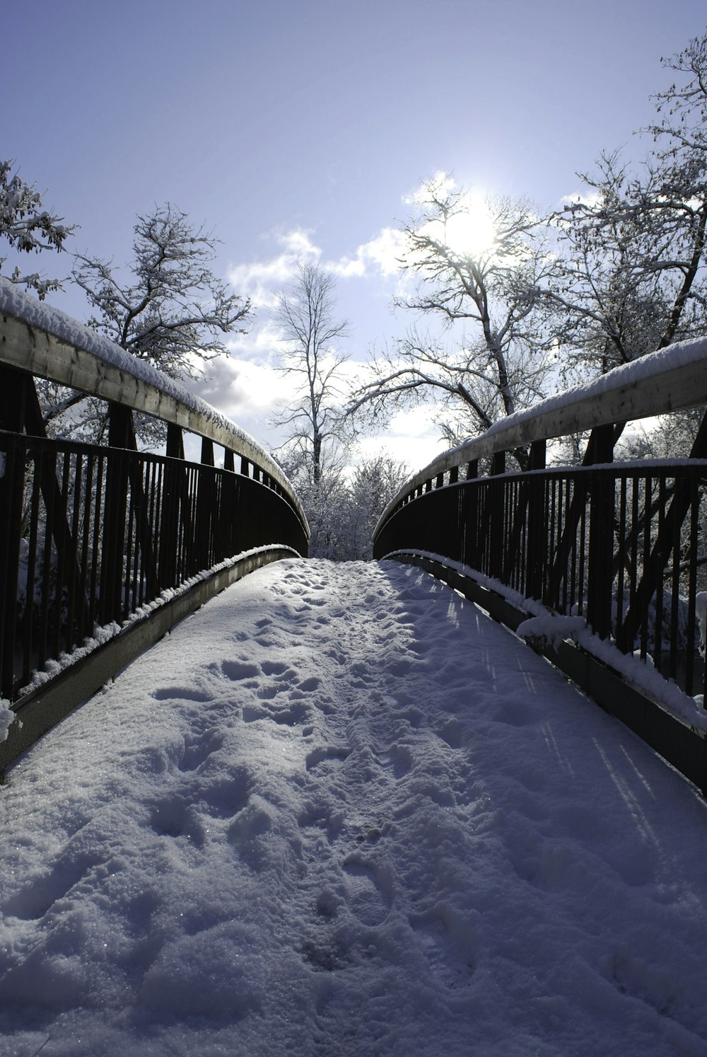 a bridge that is covered in snow with trees in the background