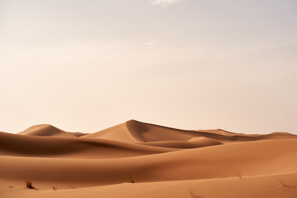 a group of sand dunes in the desert