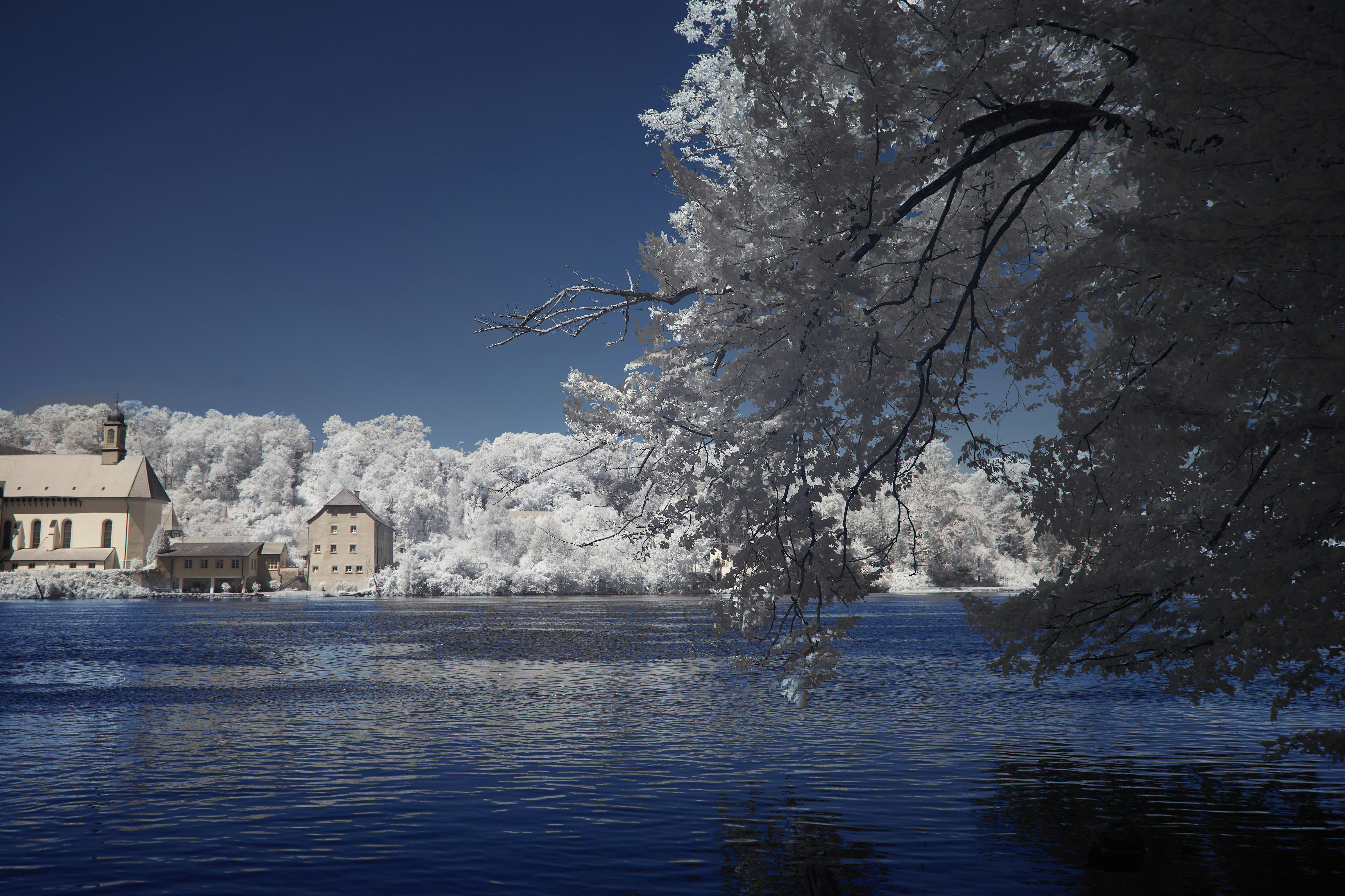 a large body of water surrounded by trees