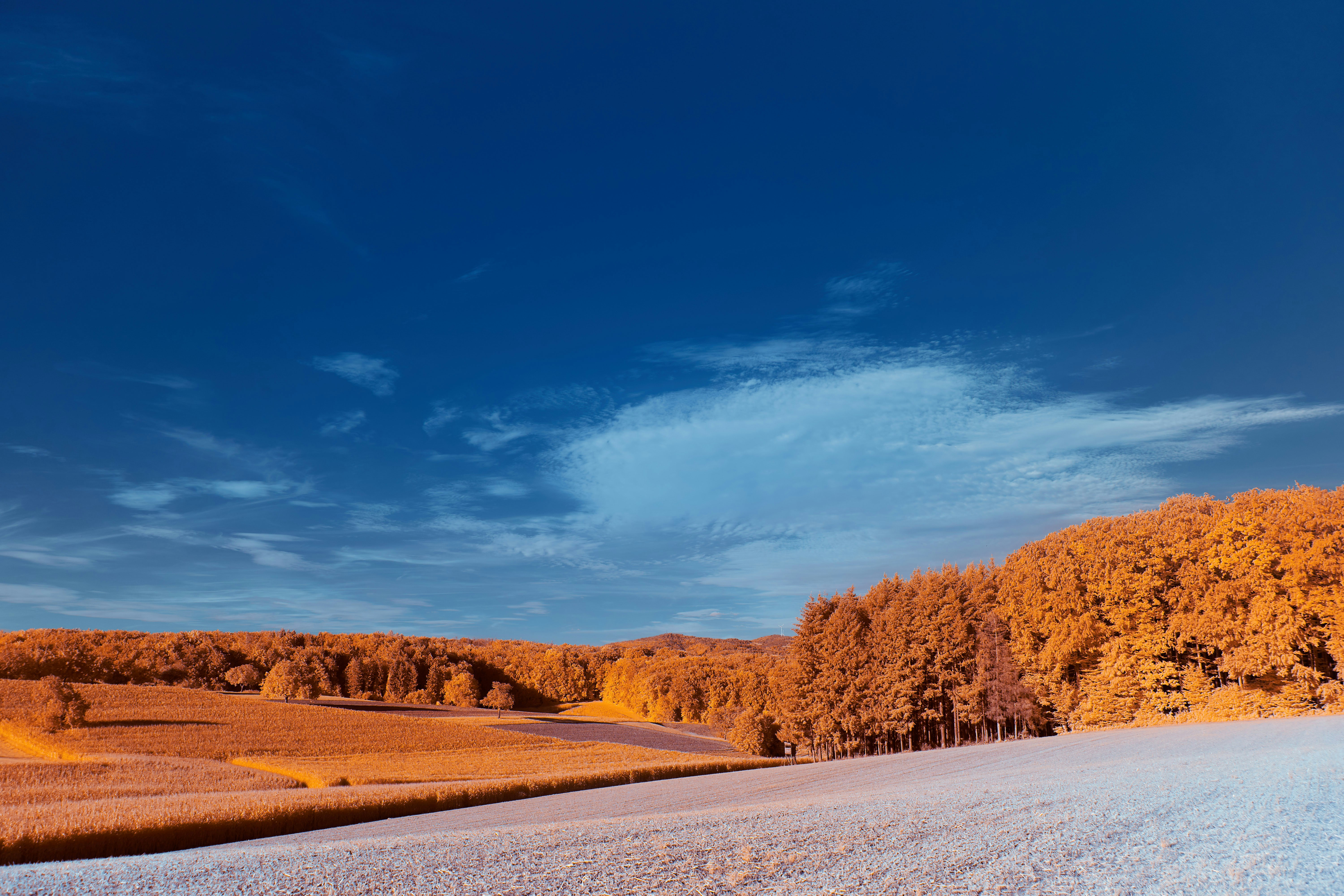 Photo by wolfgang_hasselmann