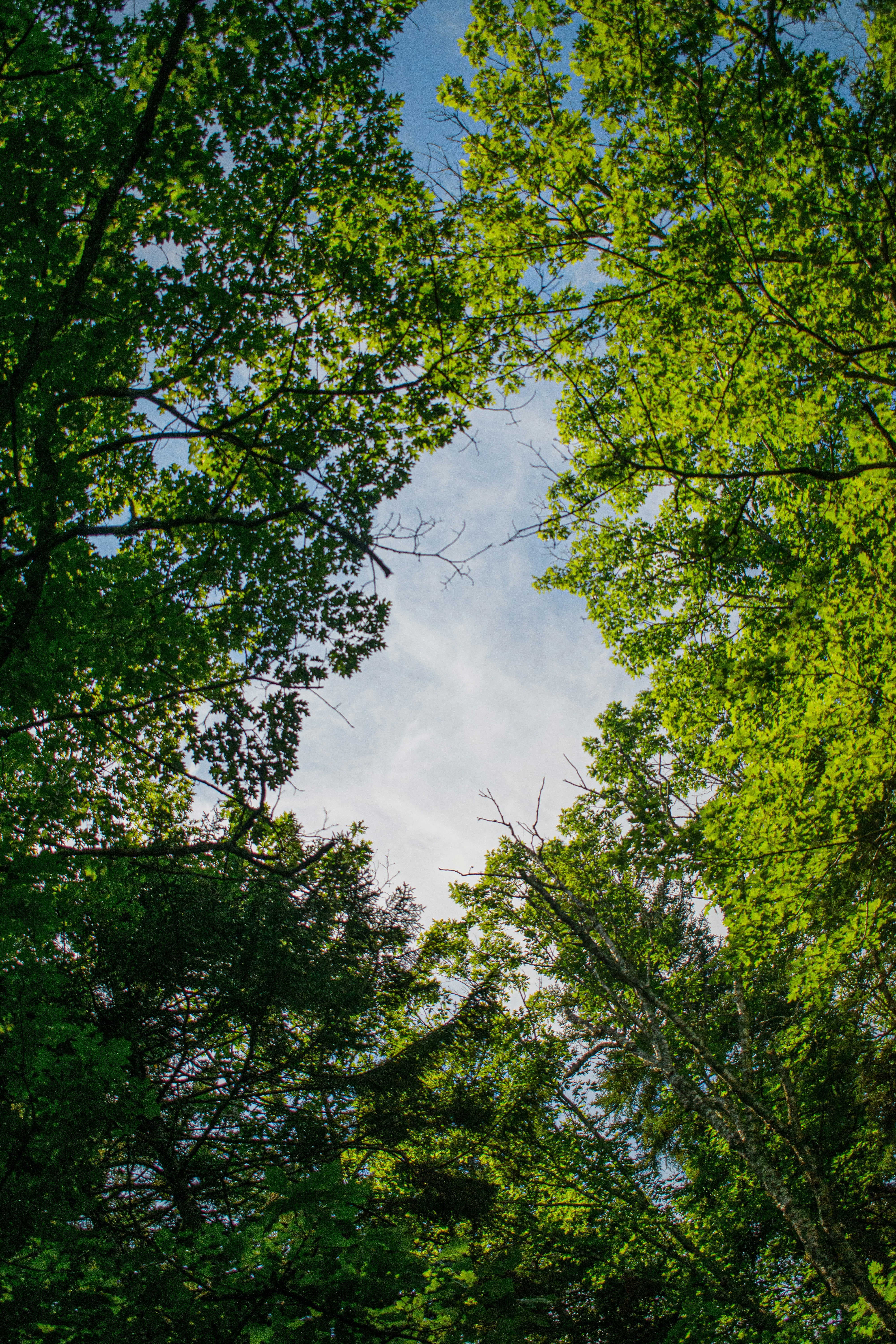 Photo by exigencystudios