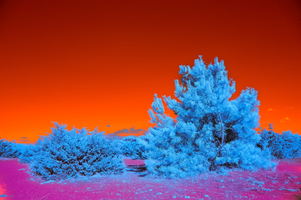 a infrared image of a blue tree in a field