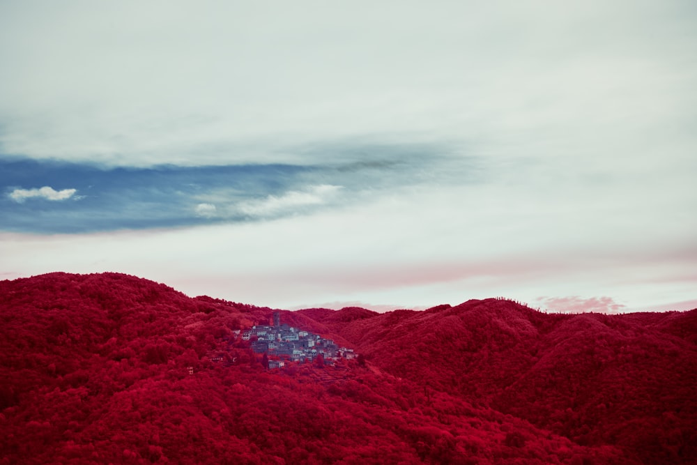 a mountain covered in red trees under a cloudy sky