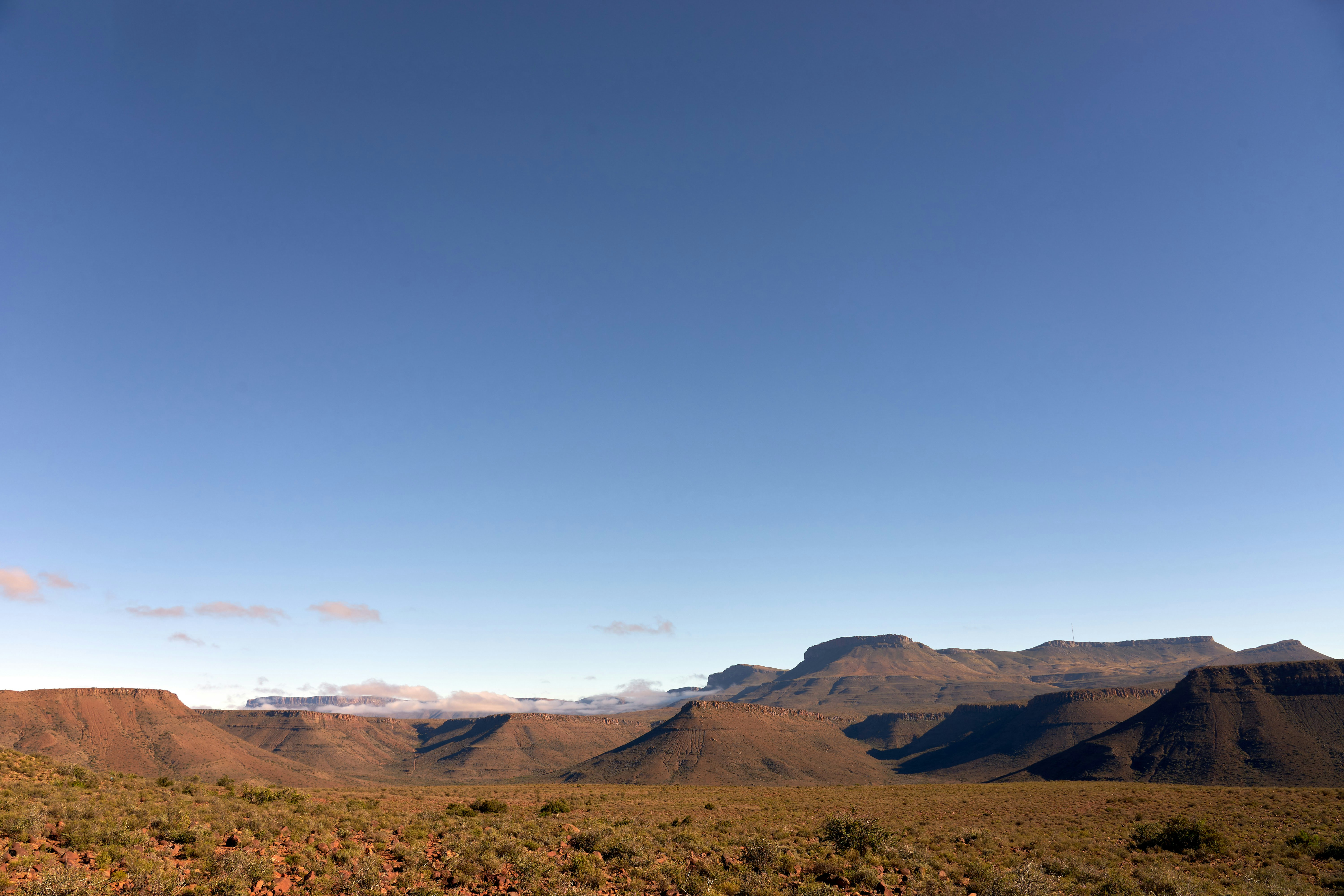 Photo by wolfgang_hasselmann