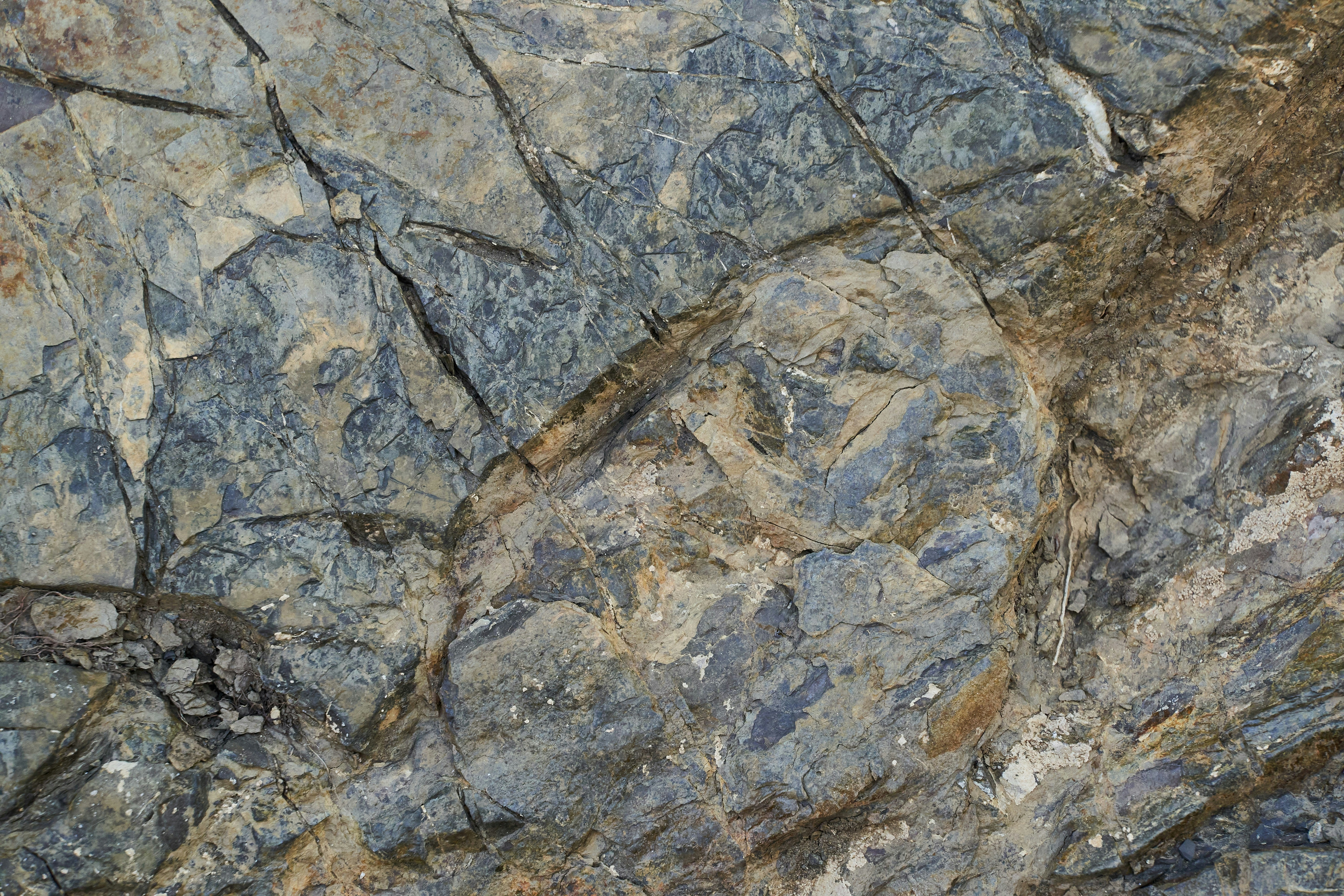 Photo by wolfgang_hasselmann