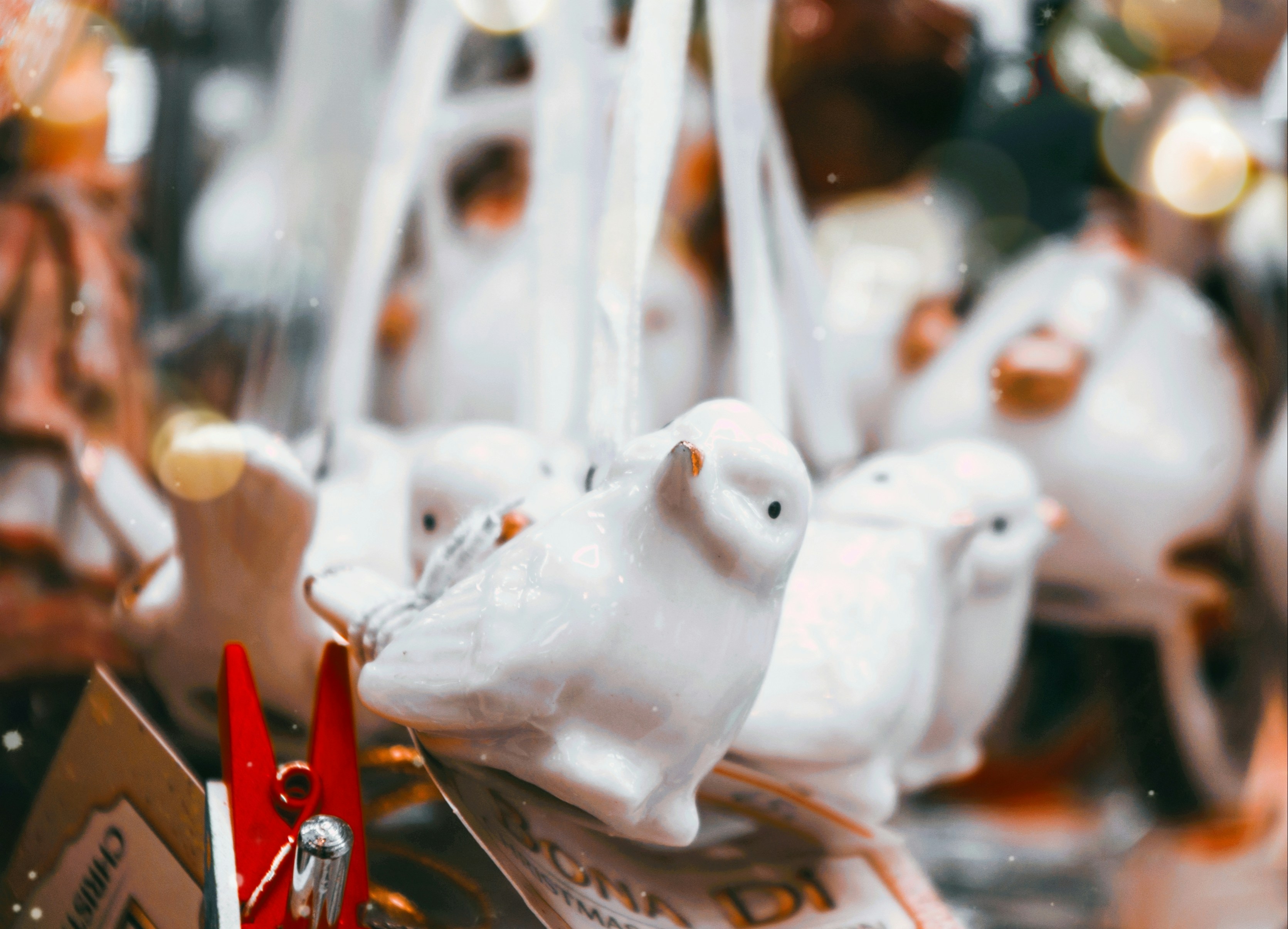 Photo by moonmoons_days