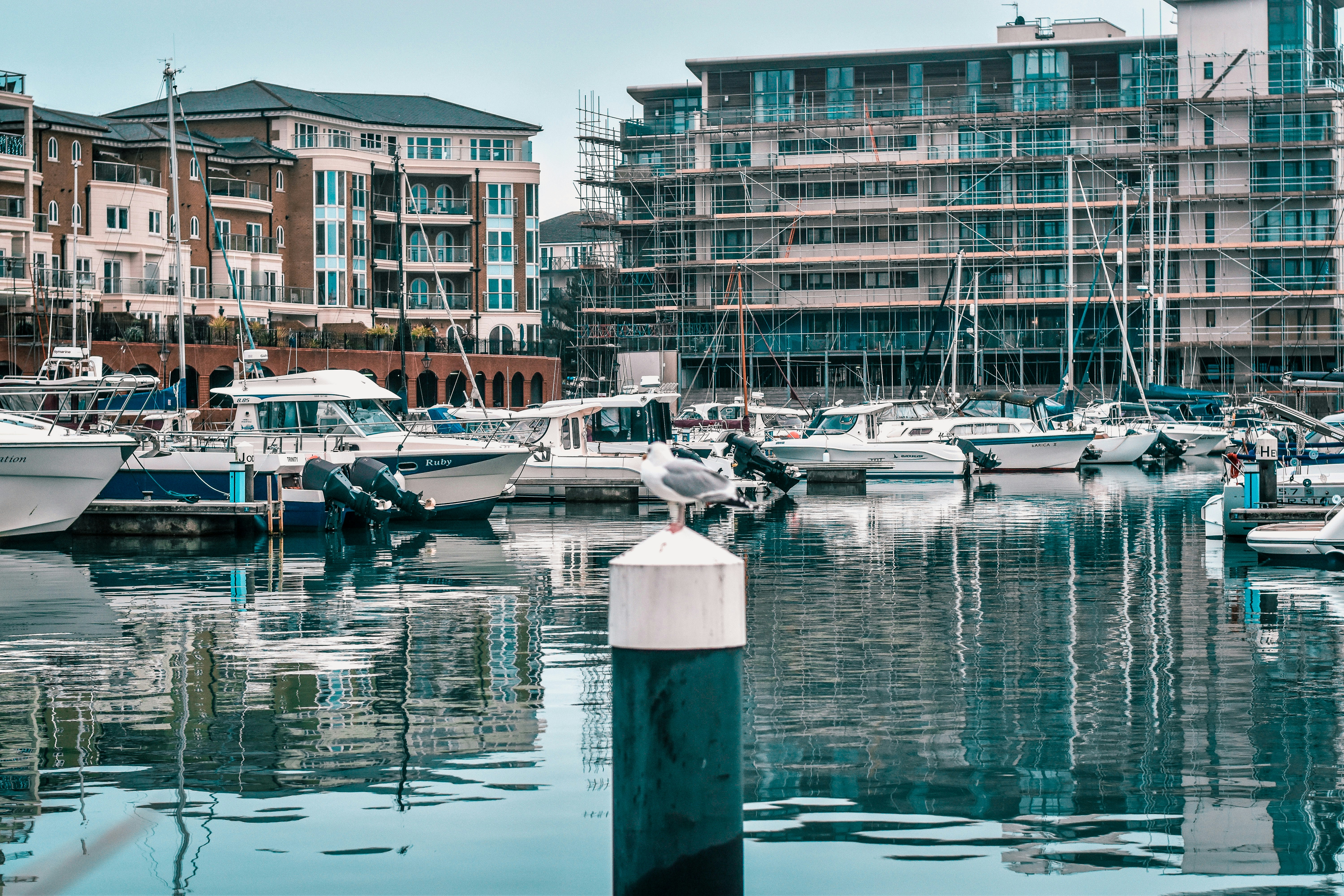 Photo by elliottmason