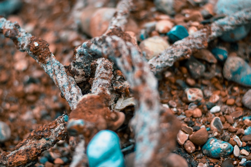 Un primer plano de rocas y cadenas en el suelo