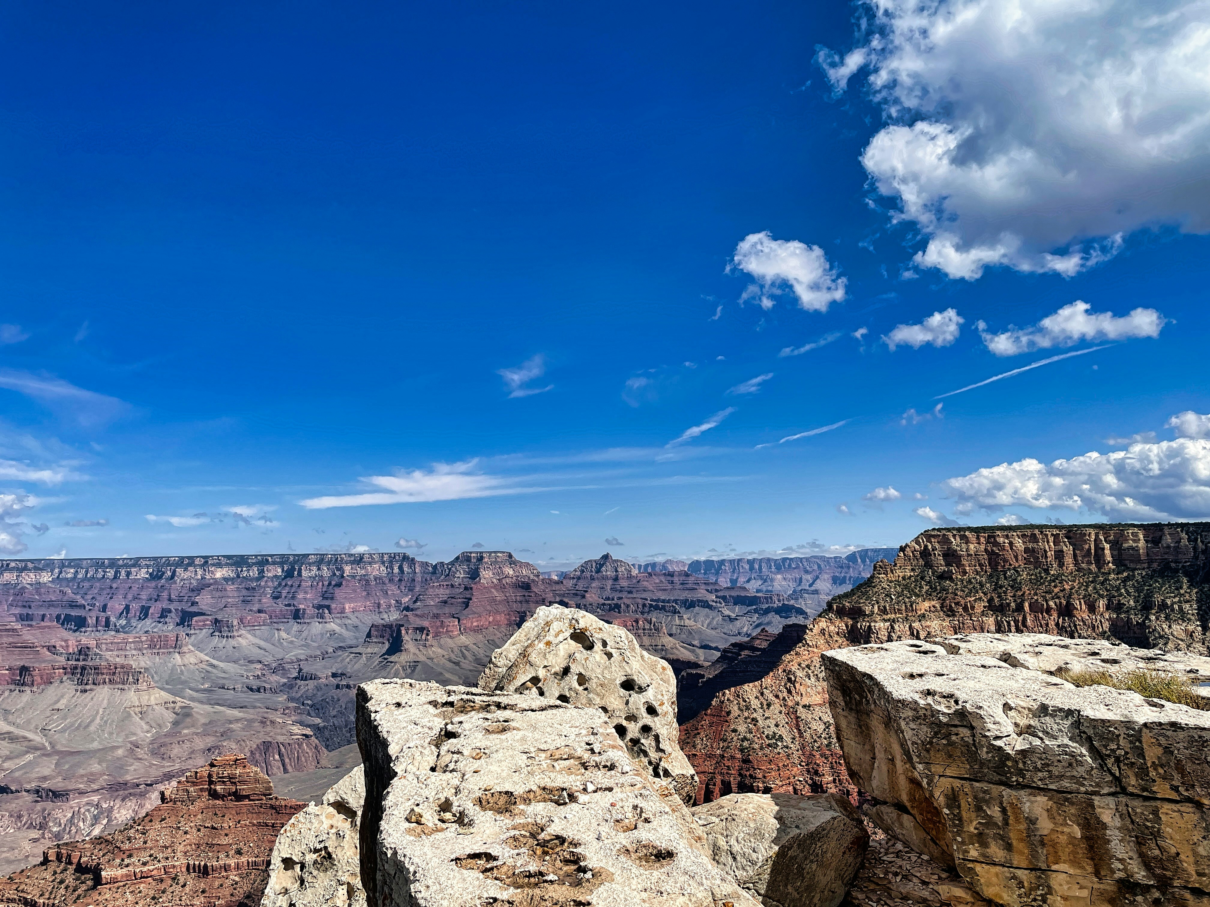 Photo by rajivperera