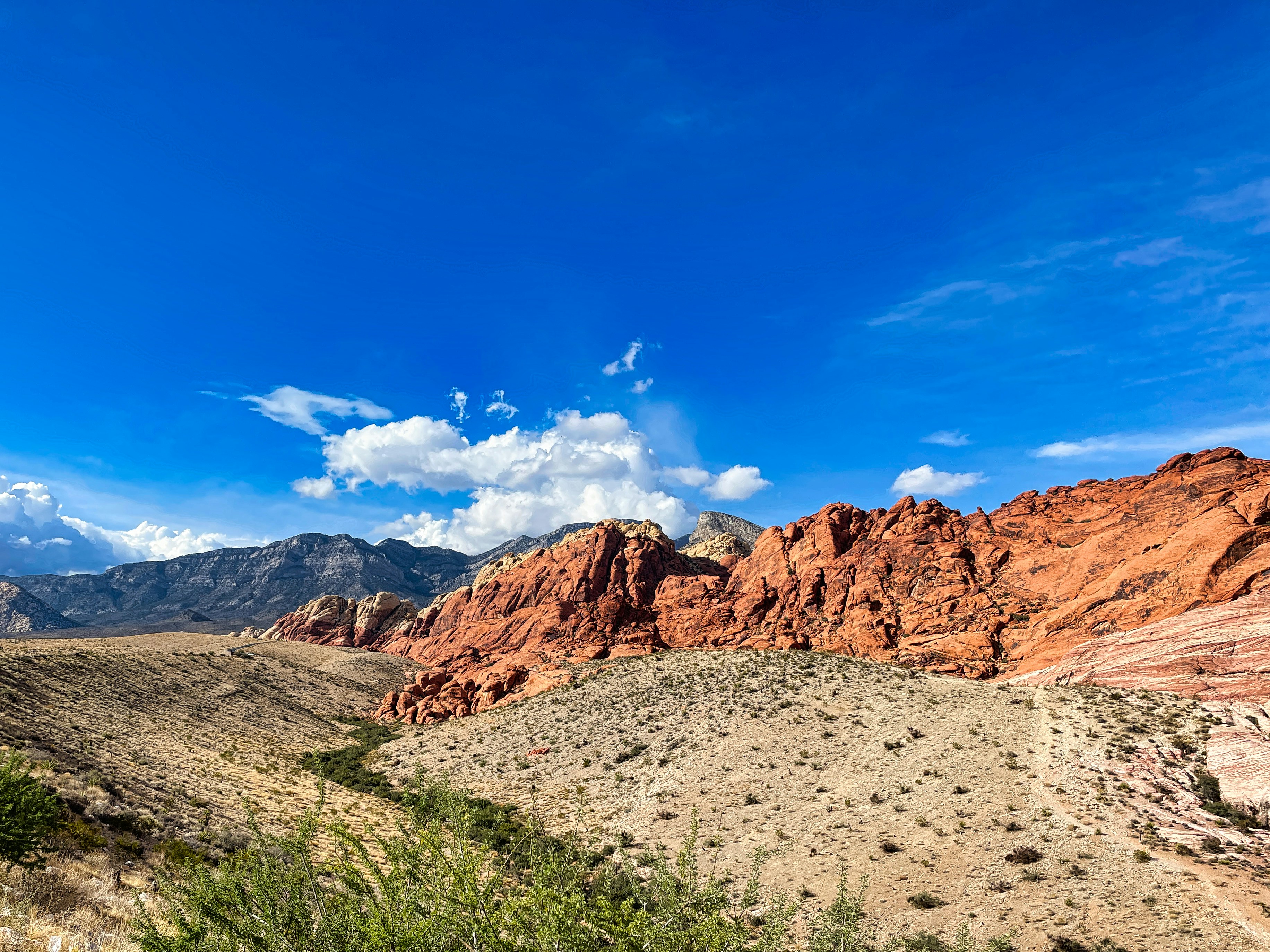 Photo by rajivperera