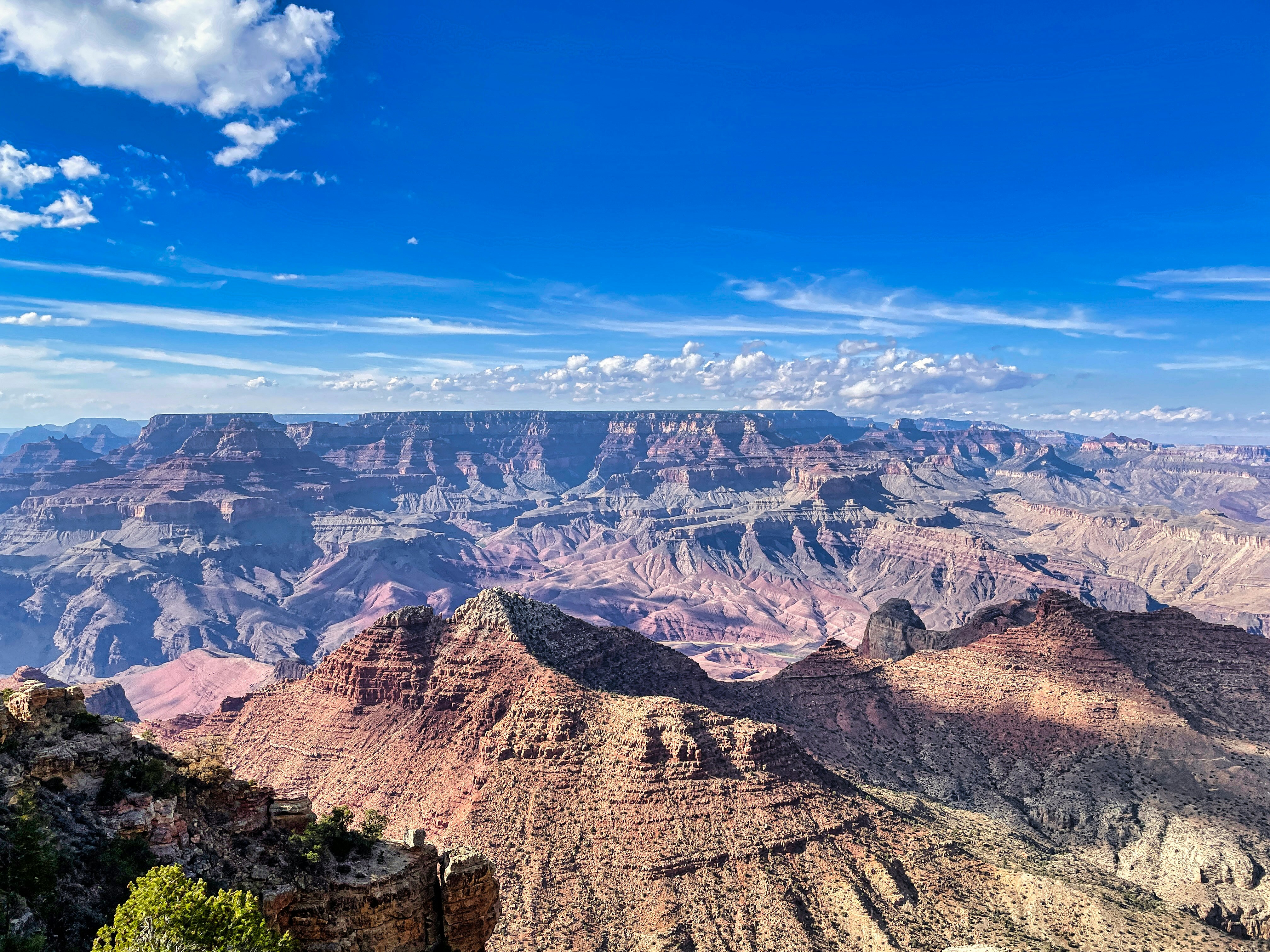 Photo by rajivperera