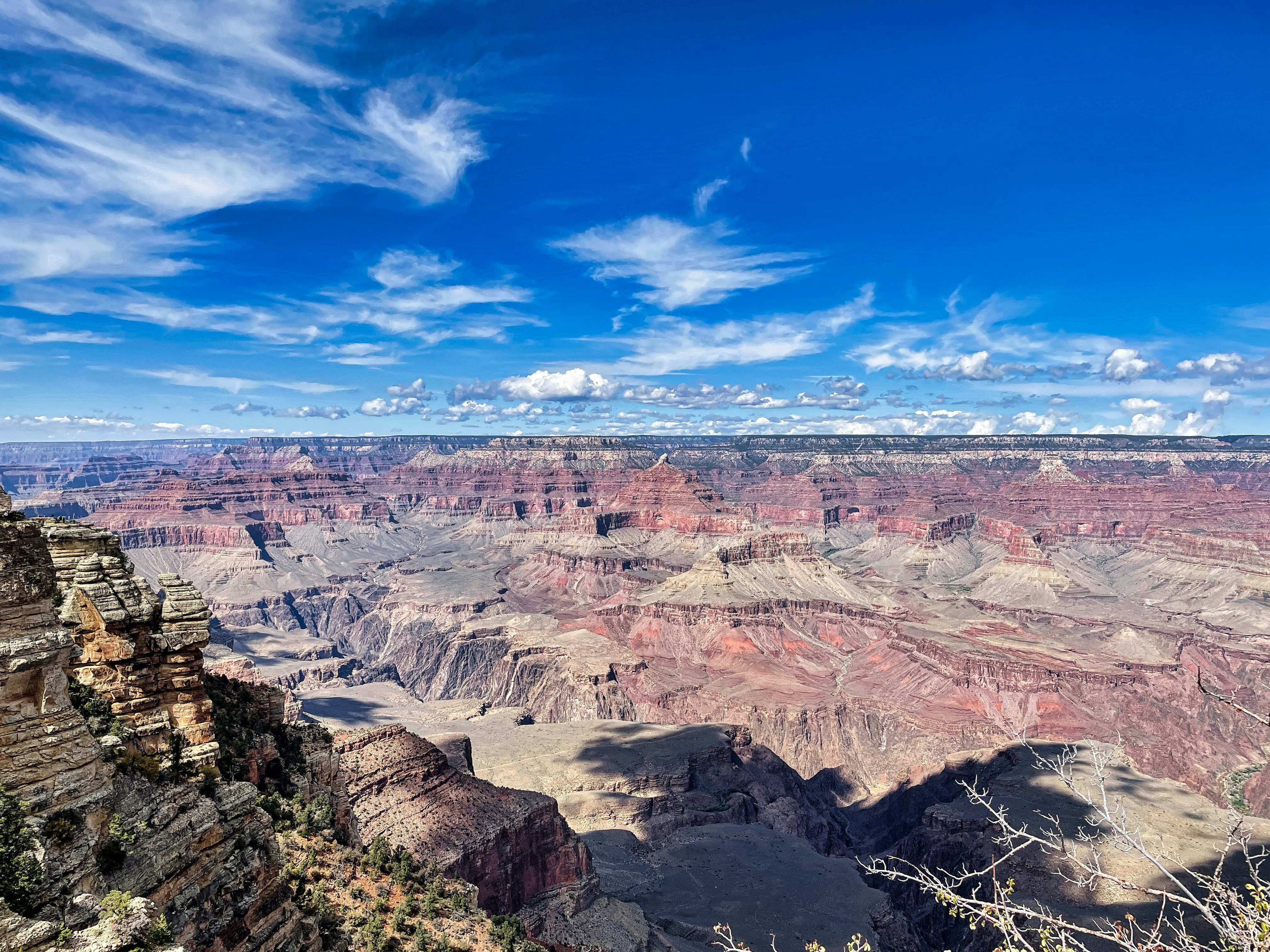 Photo by rajivperera