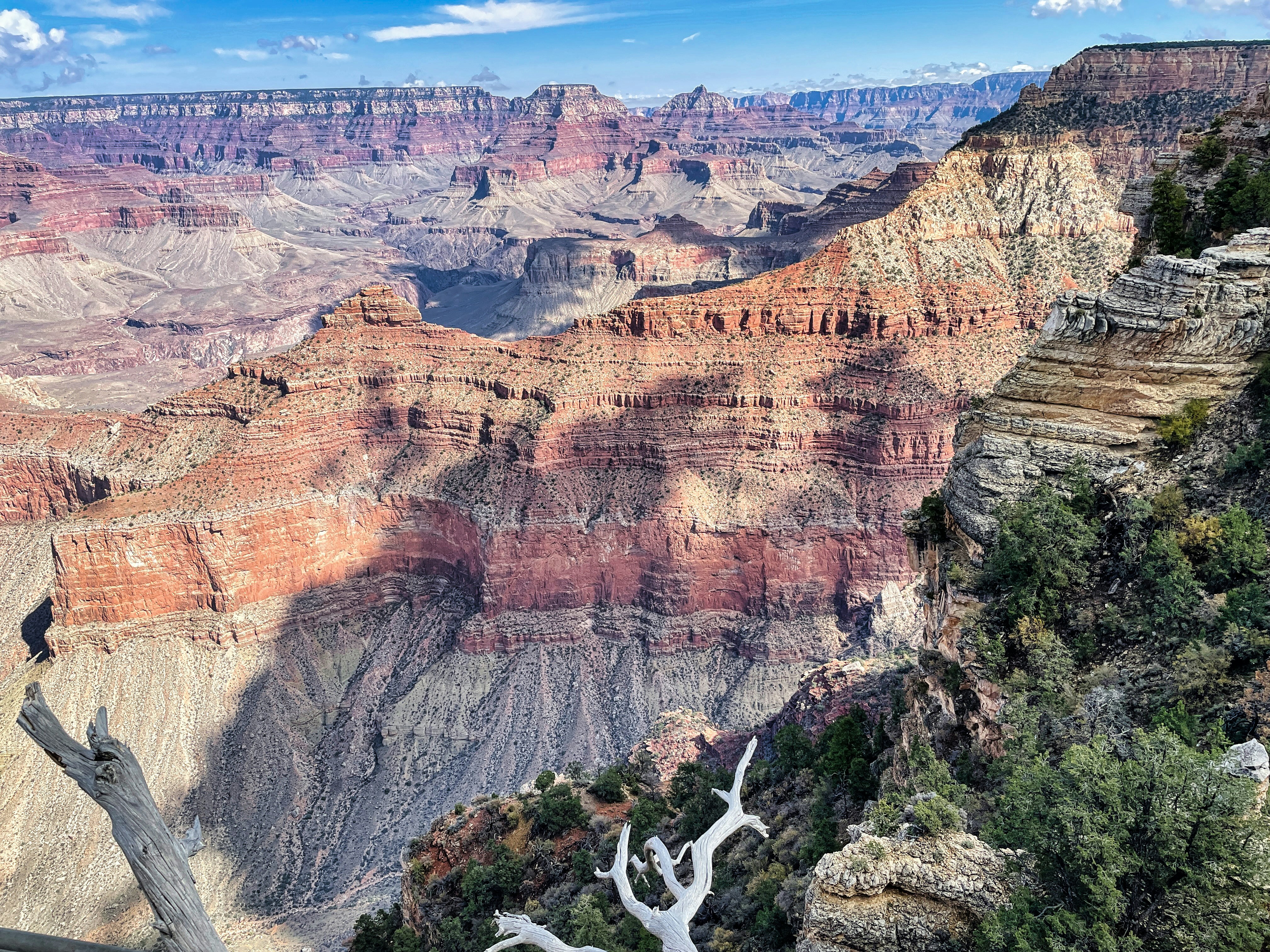 Photo by rajivperera