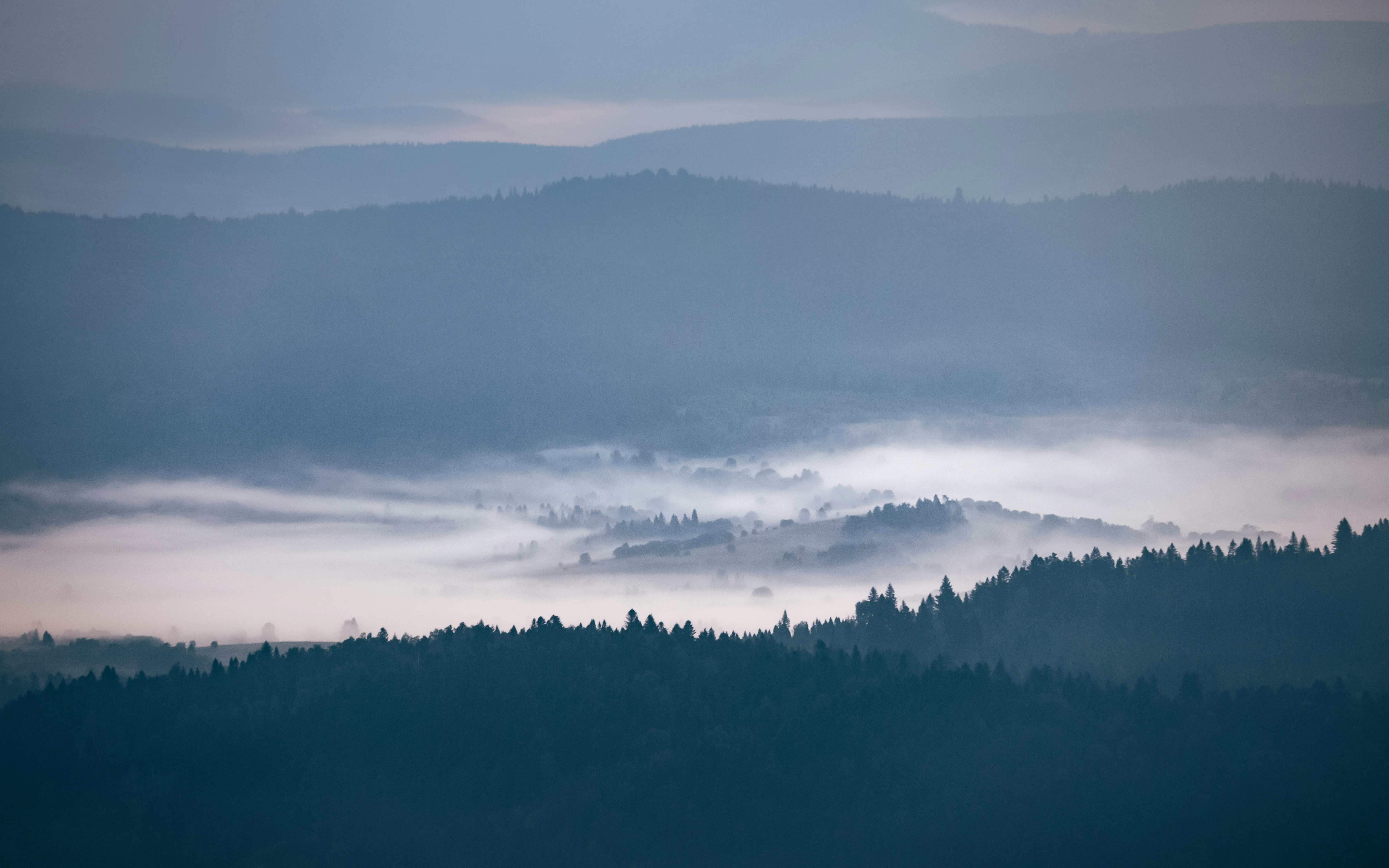 Photo by marekpiwnicki