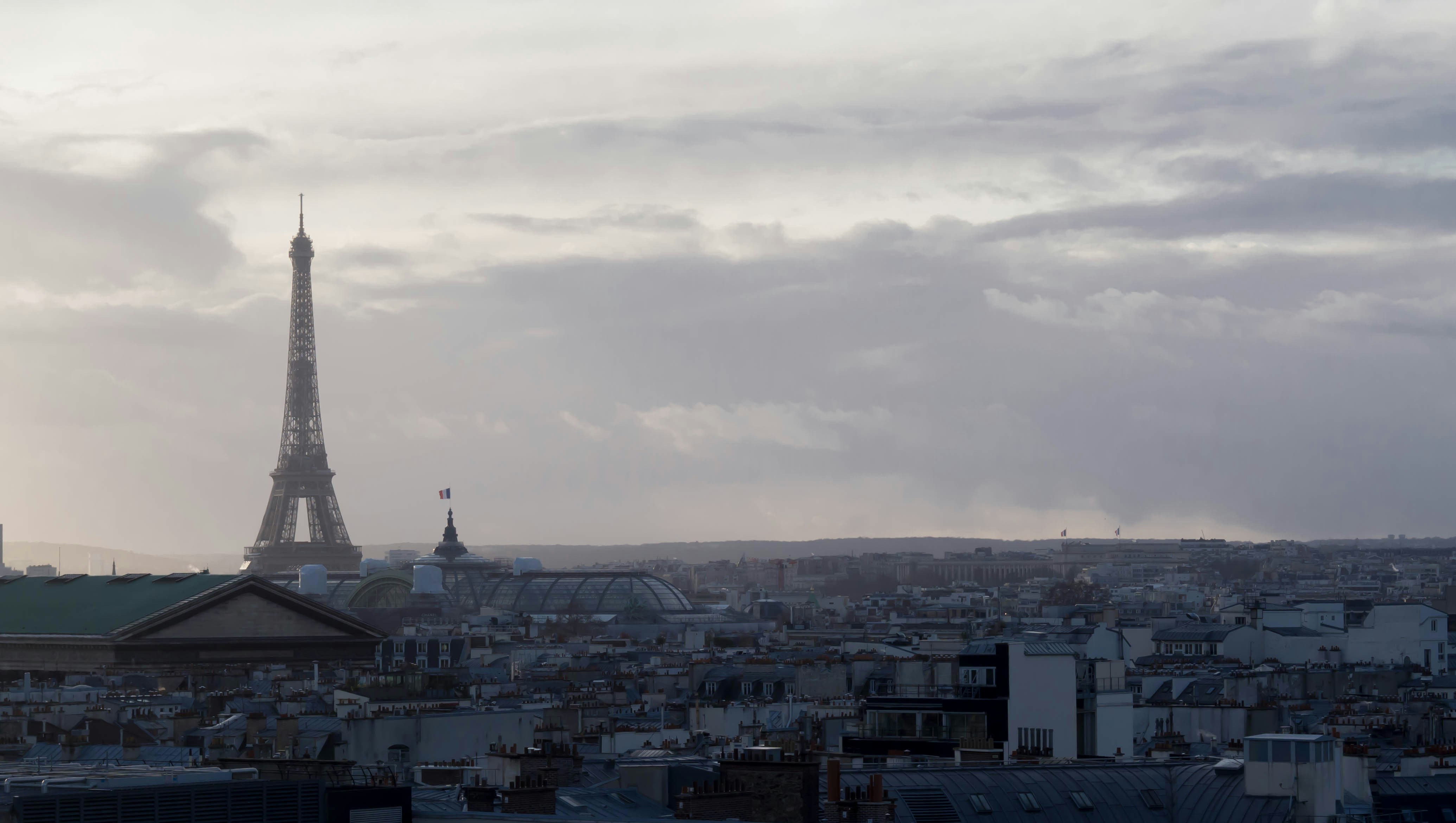 the eiffel tower towering over the city of paris