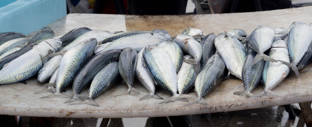 un tas de poissons qui sont sur une table