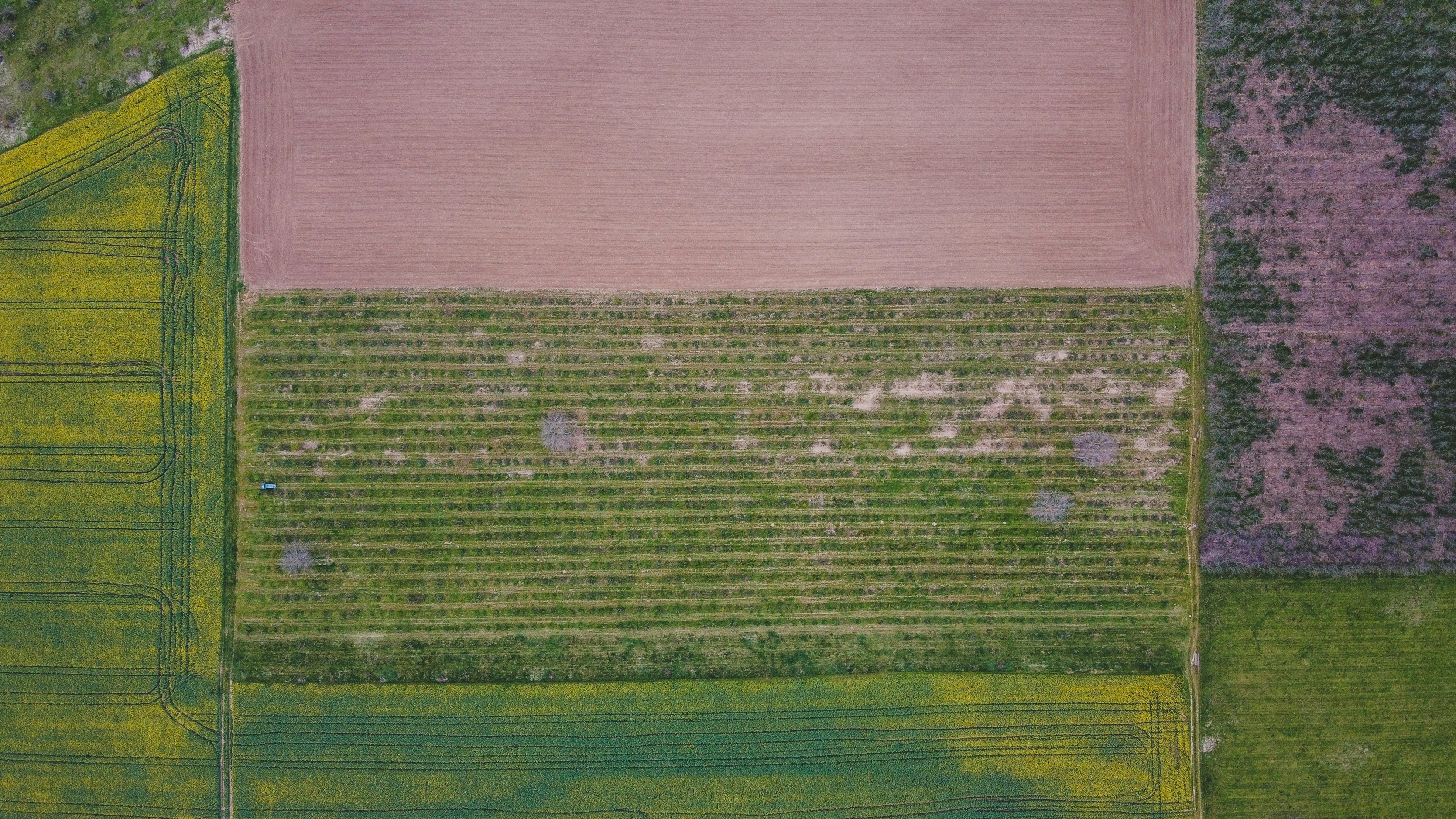 Photo by czapp_arpad