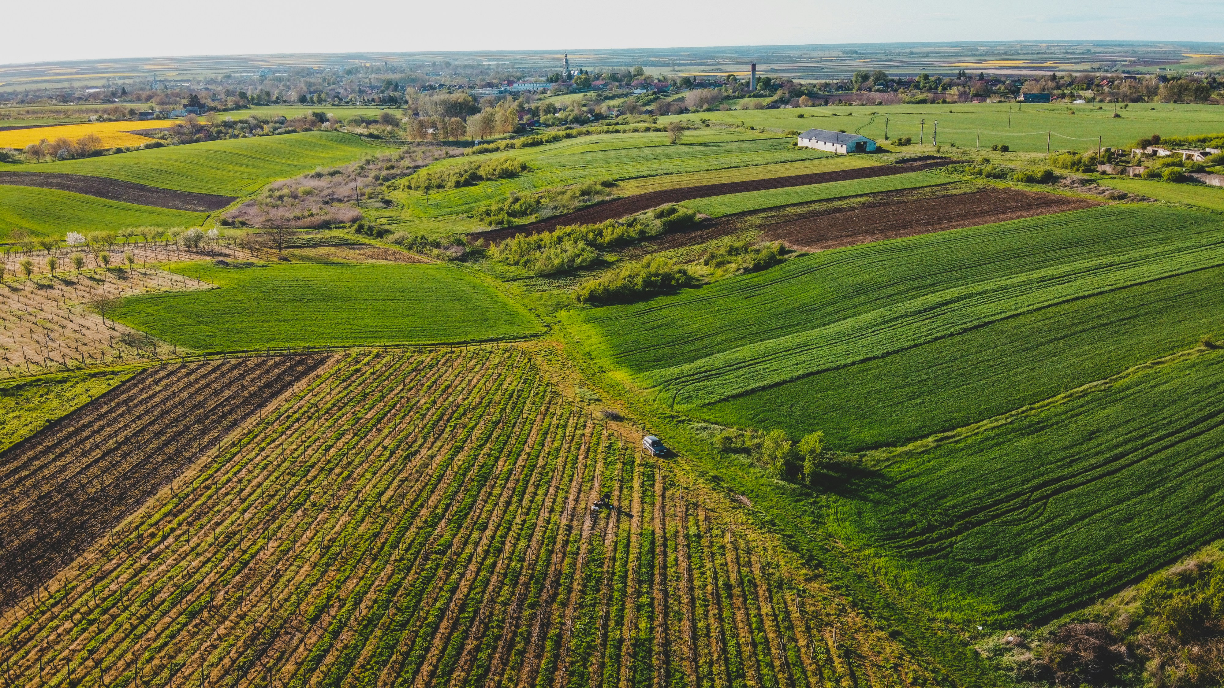 Photo by czapp_arpad